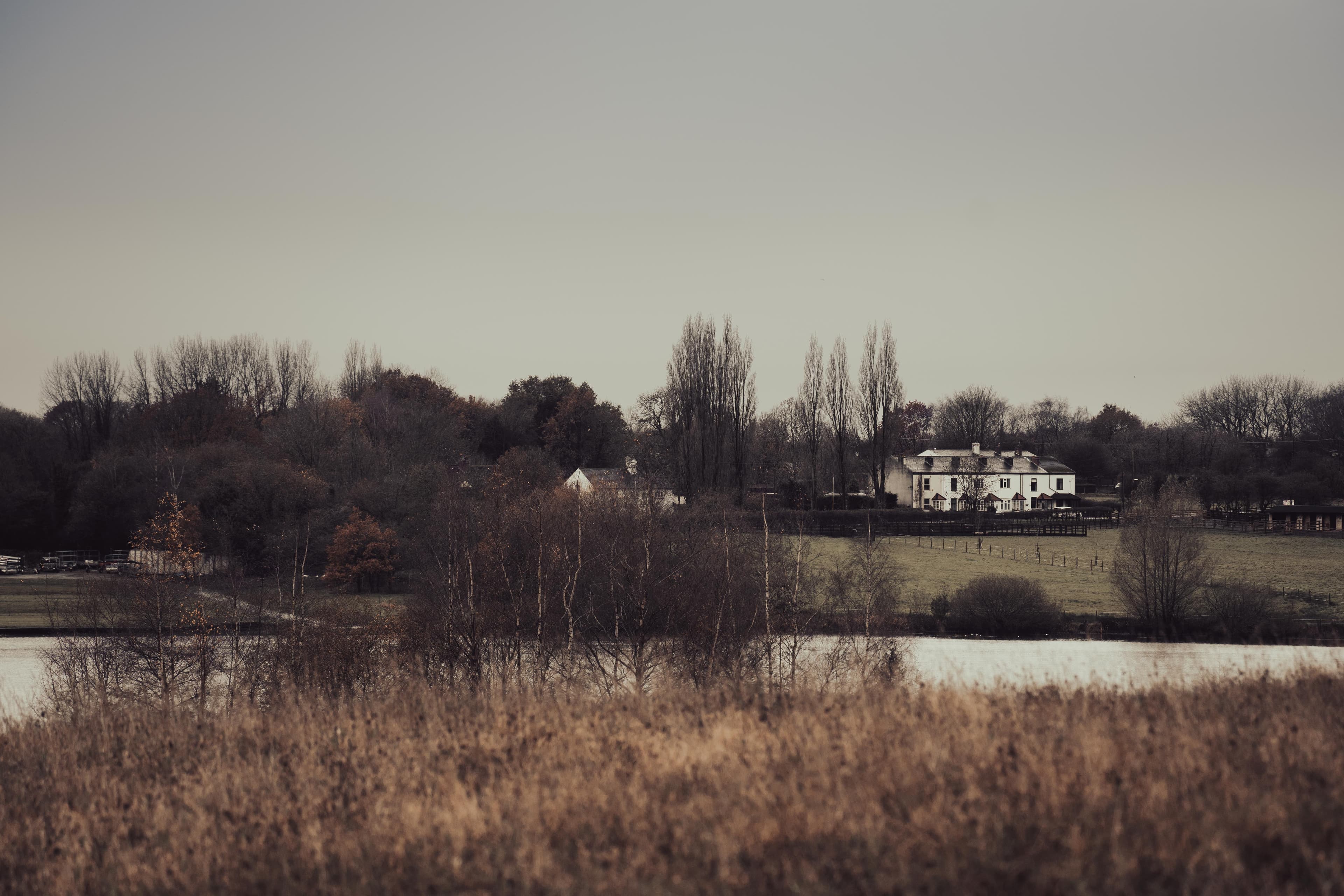 Serene countryside scene with a large white house among trees, a grassy field, and a body of water in the foreground. - Home Instead