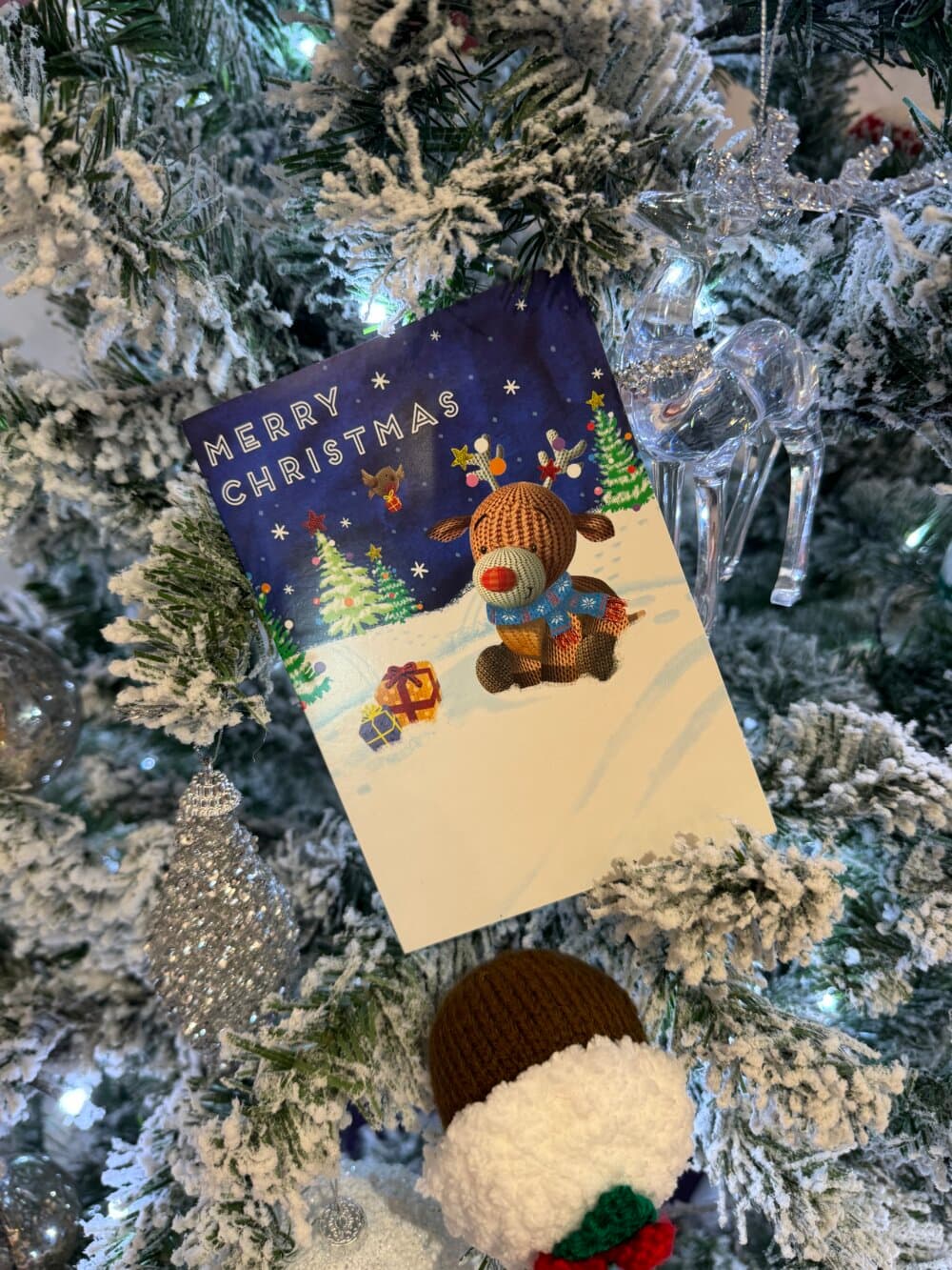 Festive Joy and Kindness