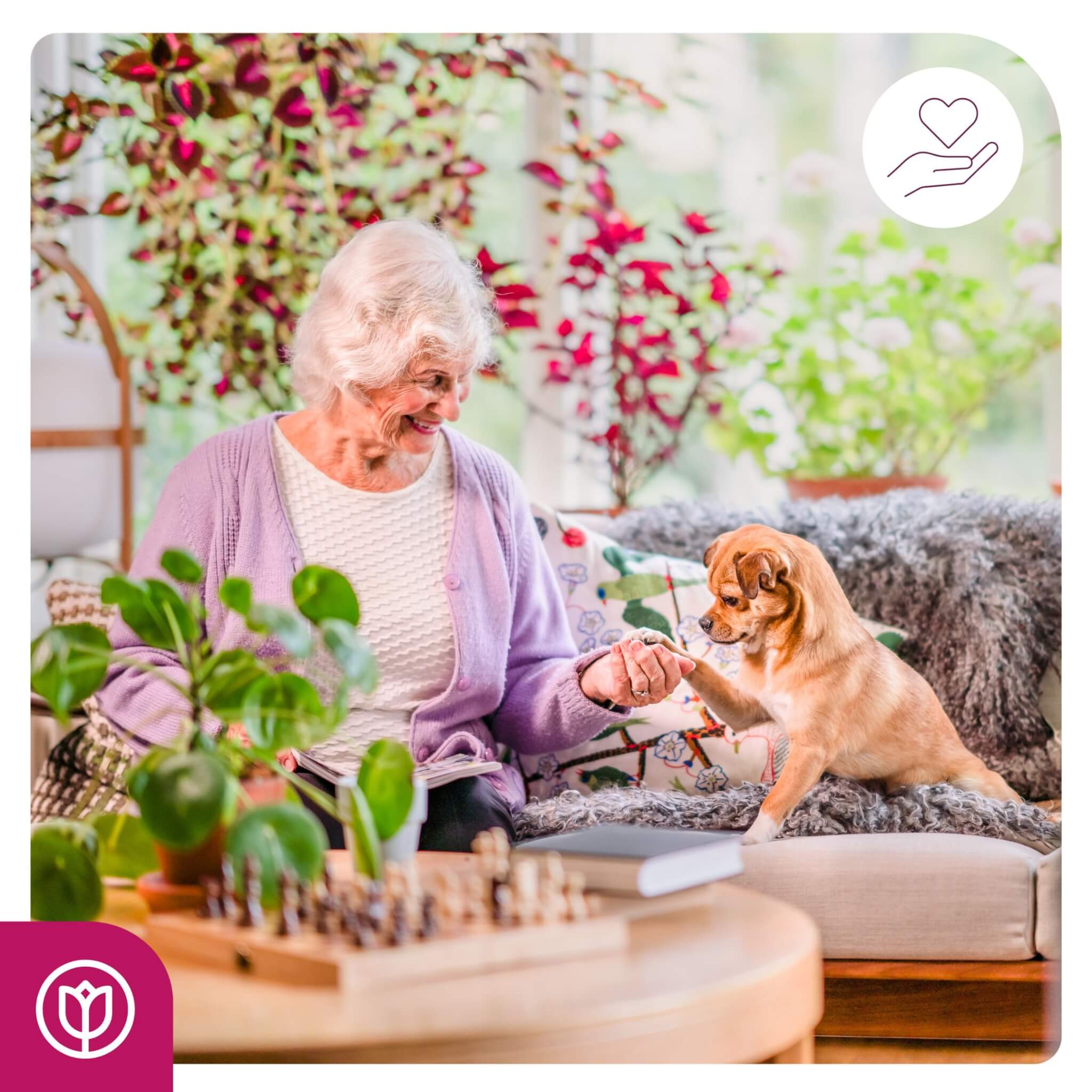 client enjoying her home with her pet live-in care in Fulham