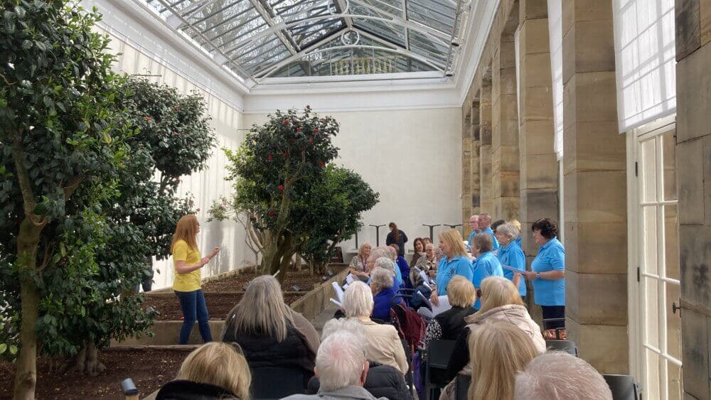 Memory Café Grand Opening Success