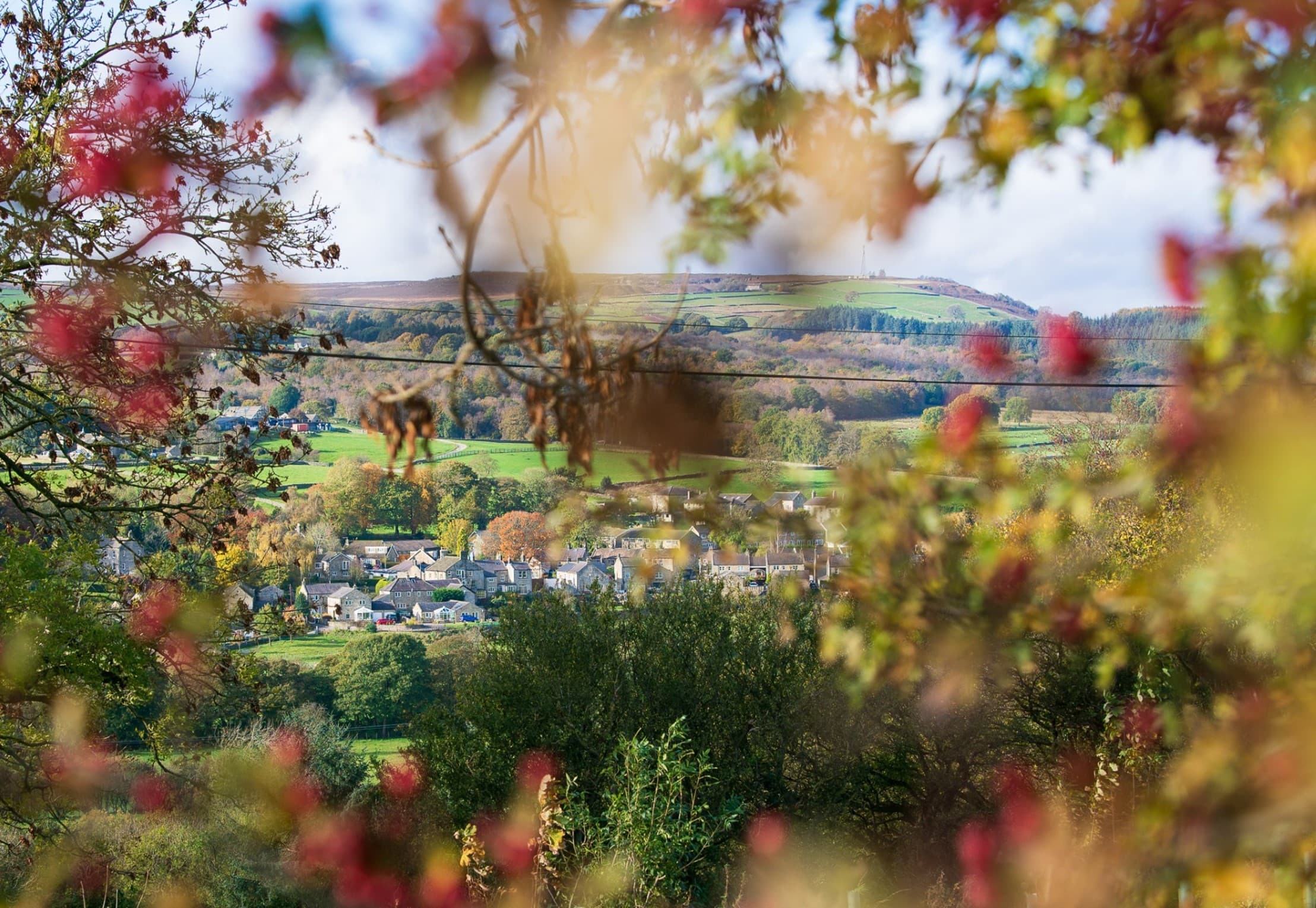 A scenic rural village with hills and autumn foliage viewed through branches with red berries in the foreground. - Home Instead