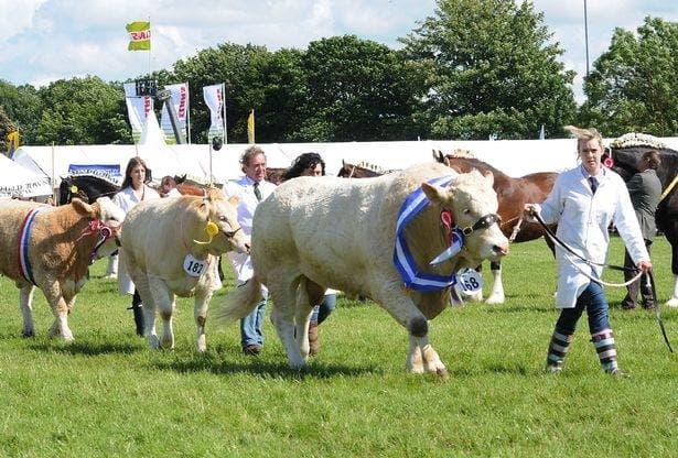 Summer Fairs in East Yorkshire 2024
