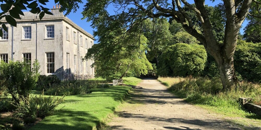 A large, green tree lines a dirt path next to an old, gray building called Enys House between Truro and Falmouth, surrounded by lush greenery and a bright blue sky. - Home Instead