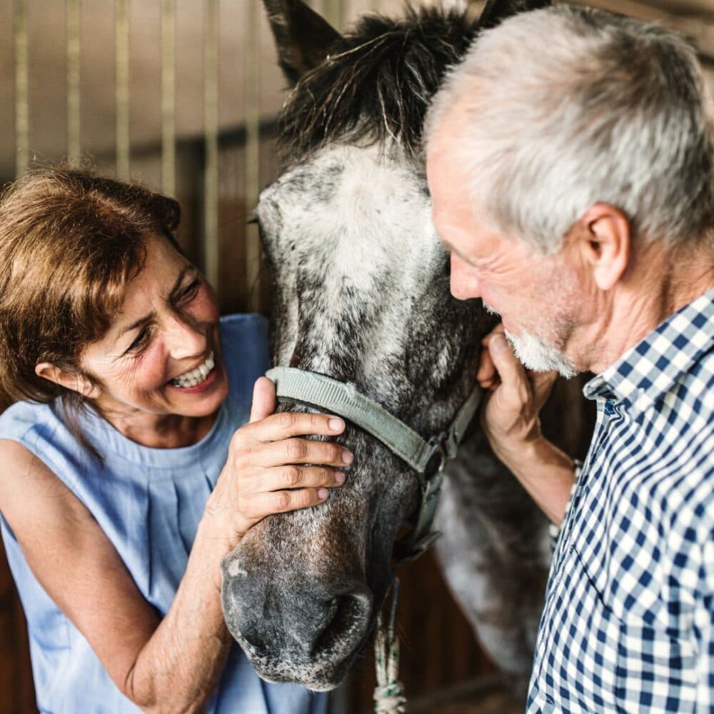 A smiling woman and an older man petting a horse together in a stable. - Home Instead