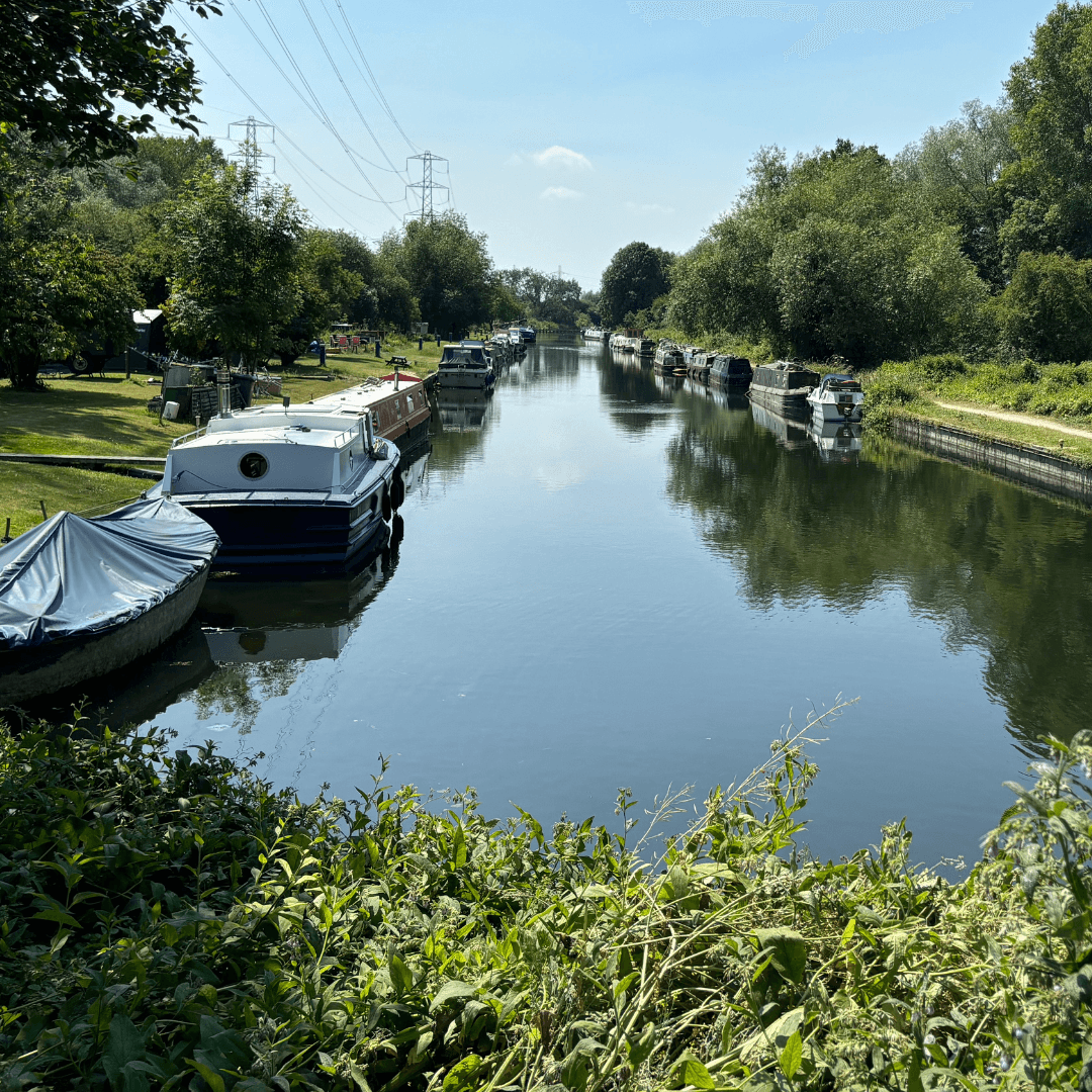 Summer Outings for Your Loved Ones