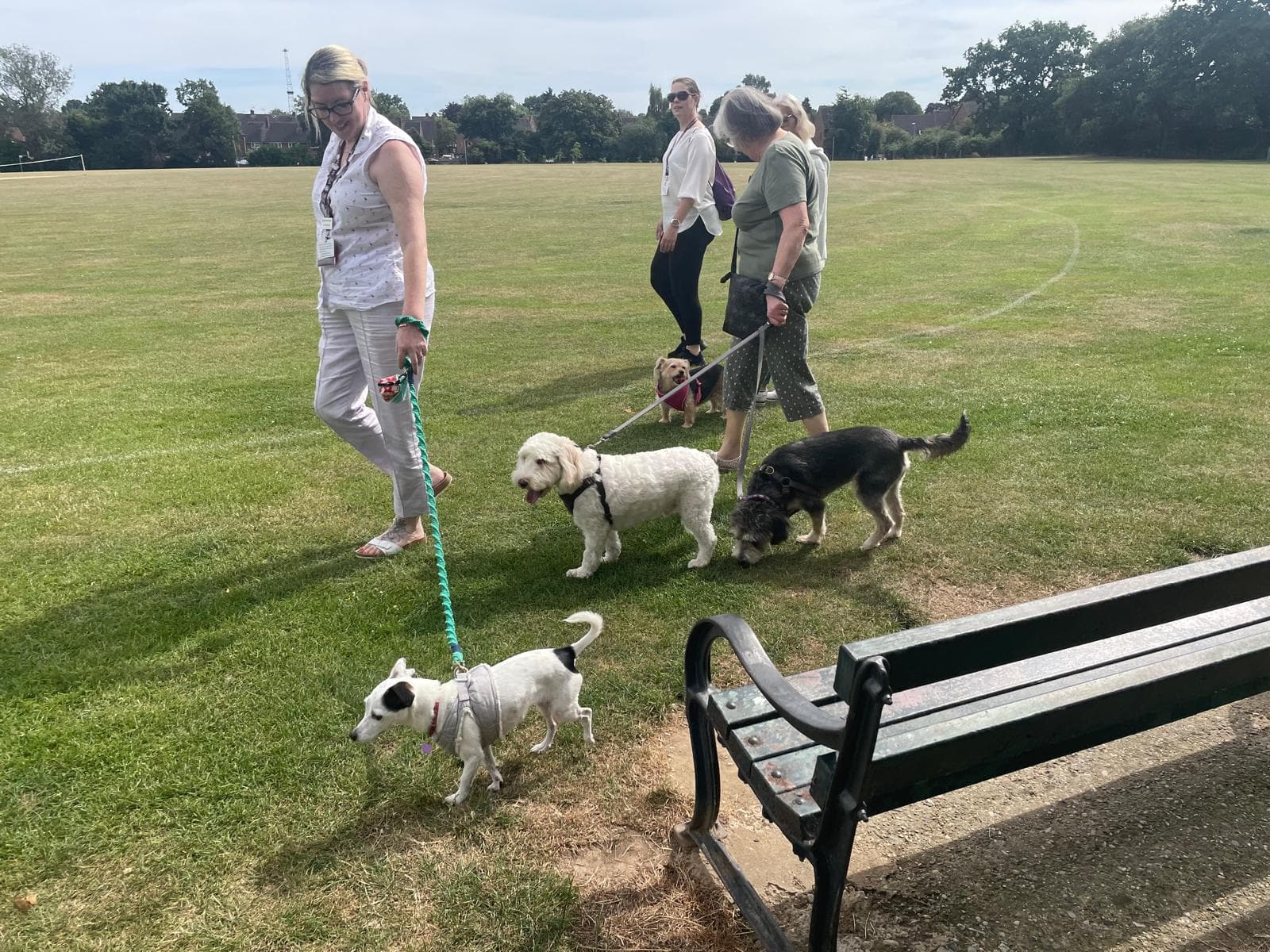 Three women walking four dogs on a grassy field near a bench under a clear sky. - Home Instead