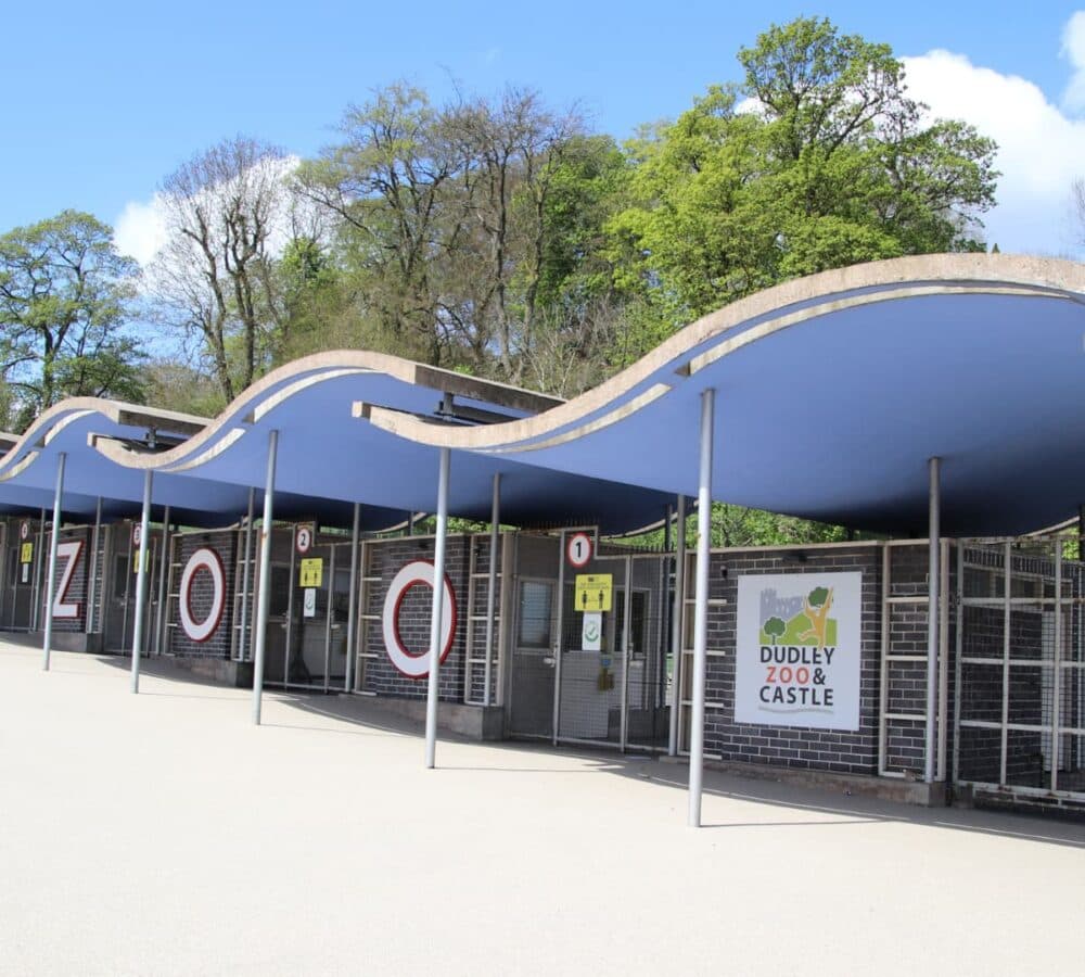 Alzheimer’s Awareness Month – Lighting Up Dudley Zoo for World Alzheimer’s Day