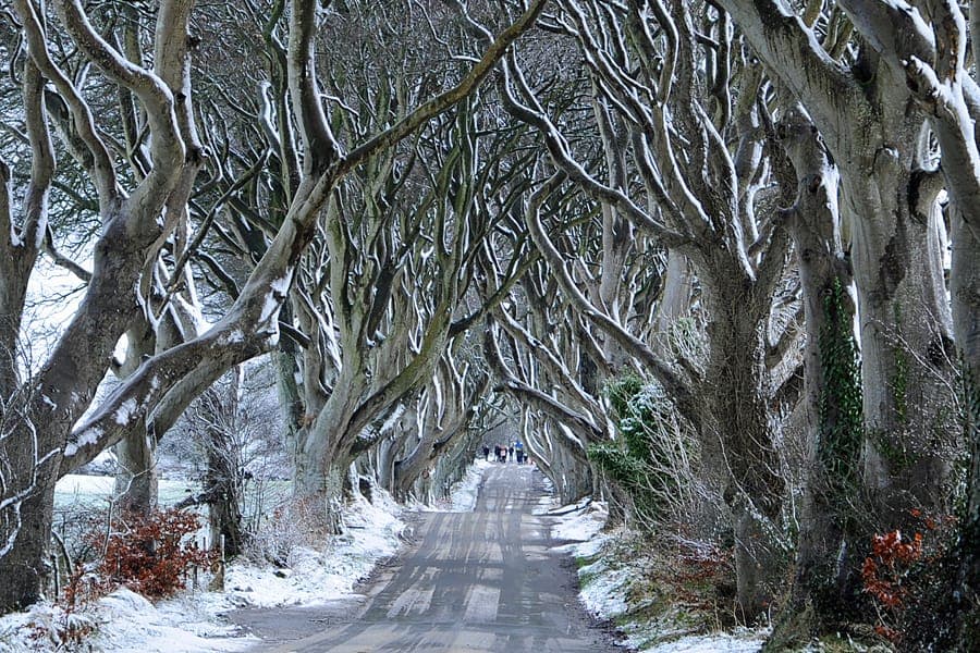 Places to visit this Winter in Northern Ireland