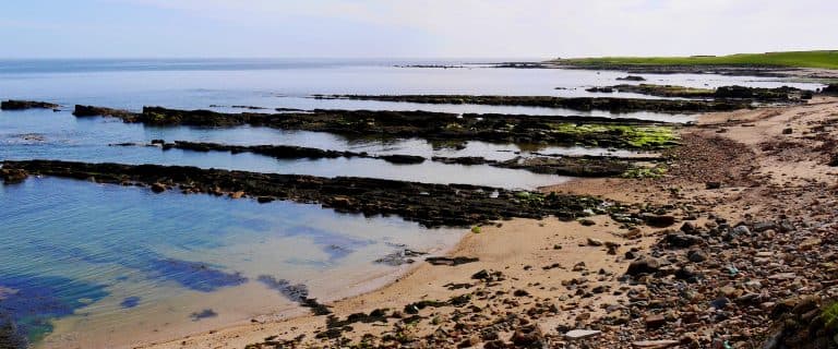 Rocky tidal platforms stretch into the sea along a sandy coastline under a bright sky. - Home Instead