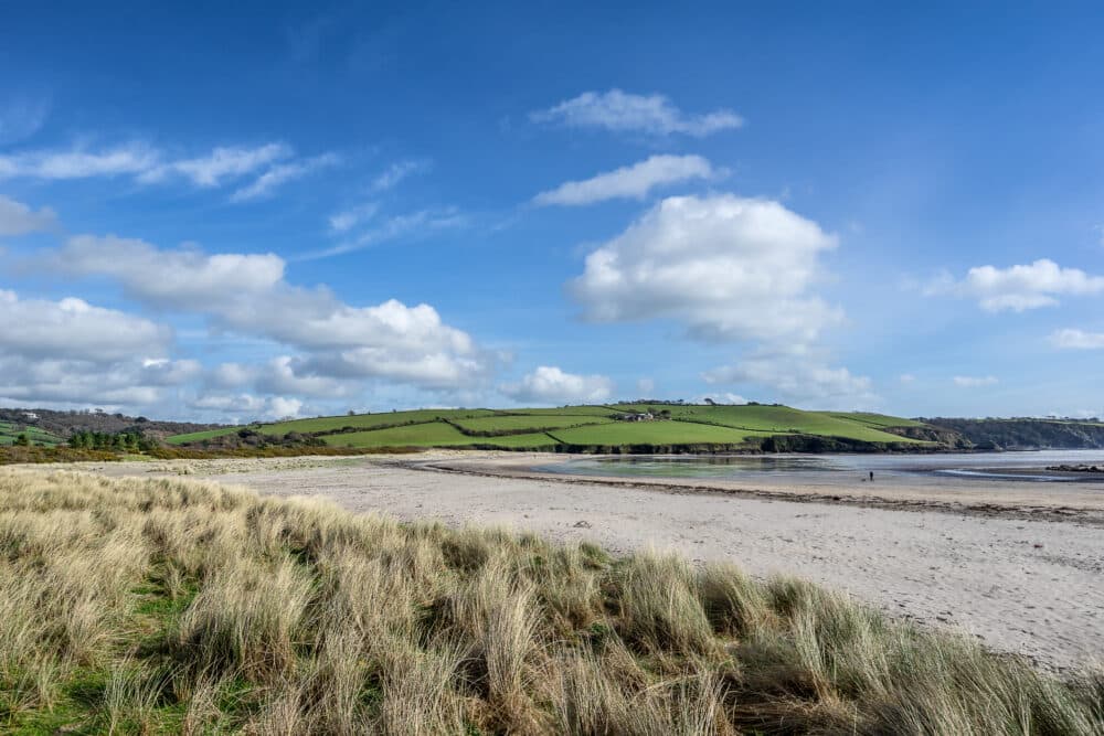 Tailored Home Care in Par