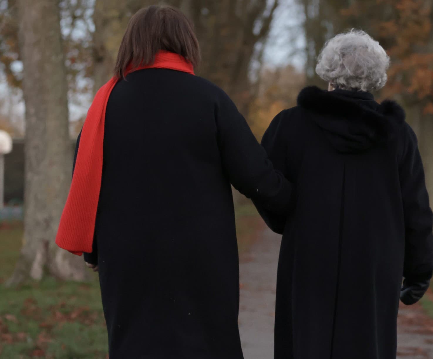 Two people in dark coats, one with a red scarf, walk arm-in-arm down a tree-lined path. - Home Instead