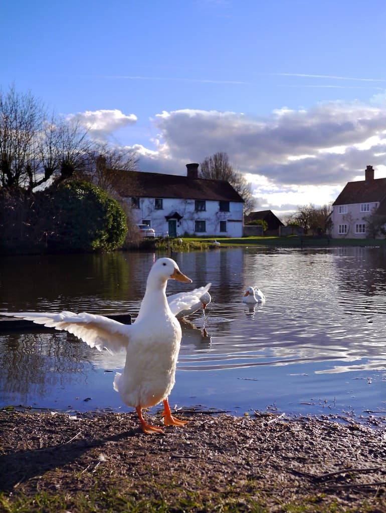 Trusted Home Care support from experienced care professionals in Haddenham