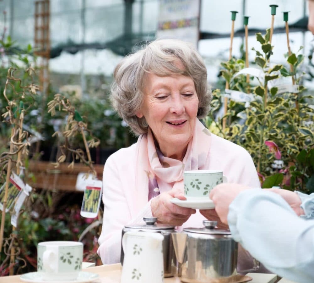 Community Events in Fareham and Gosport: March Highlights