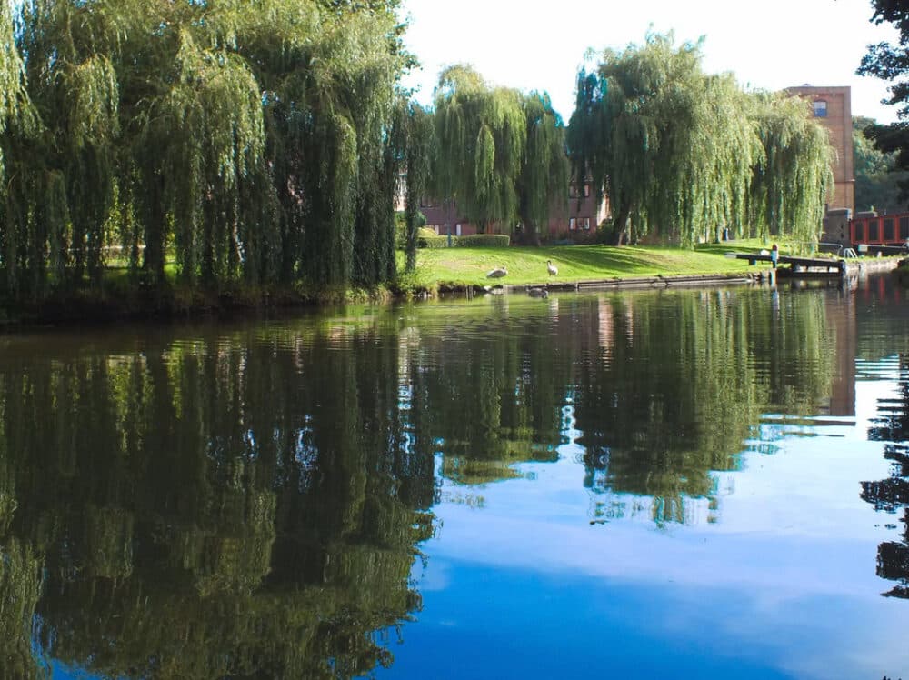 What Home Care Services are available in Linslade