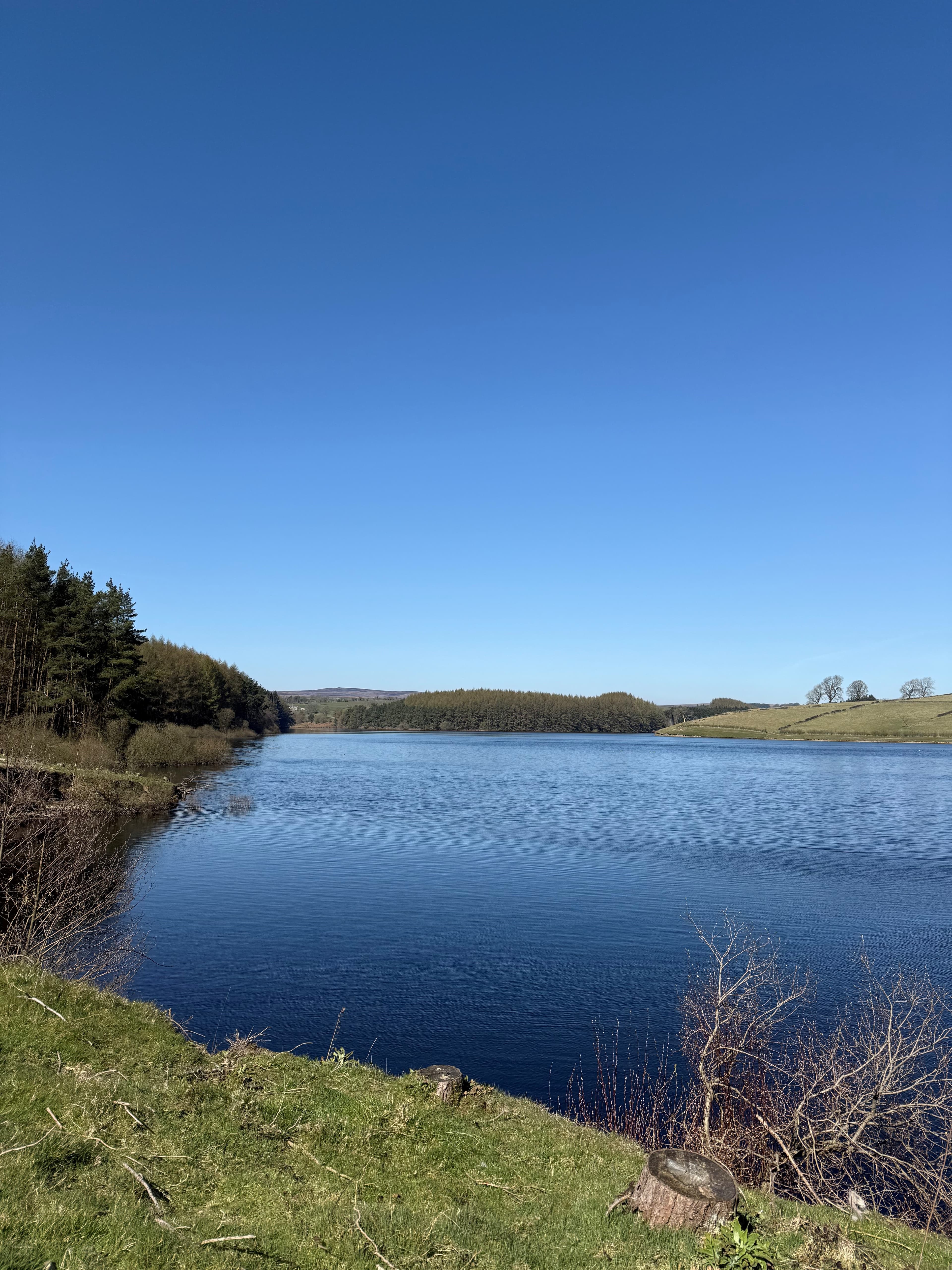 Beautiful Thruscross