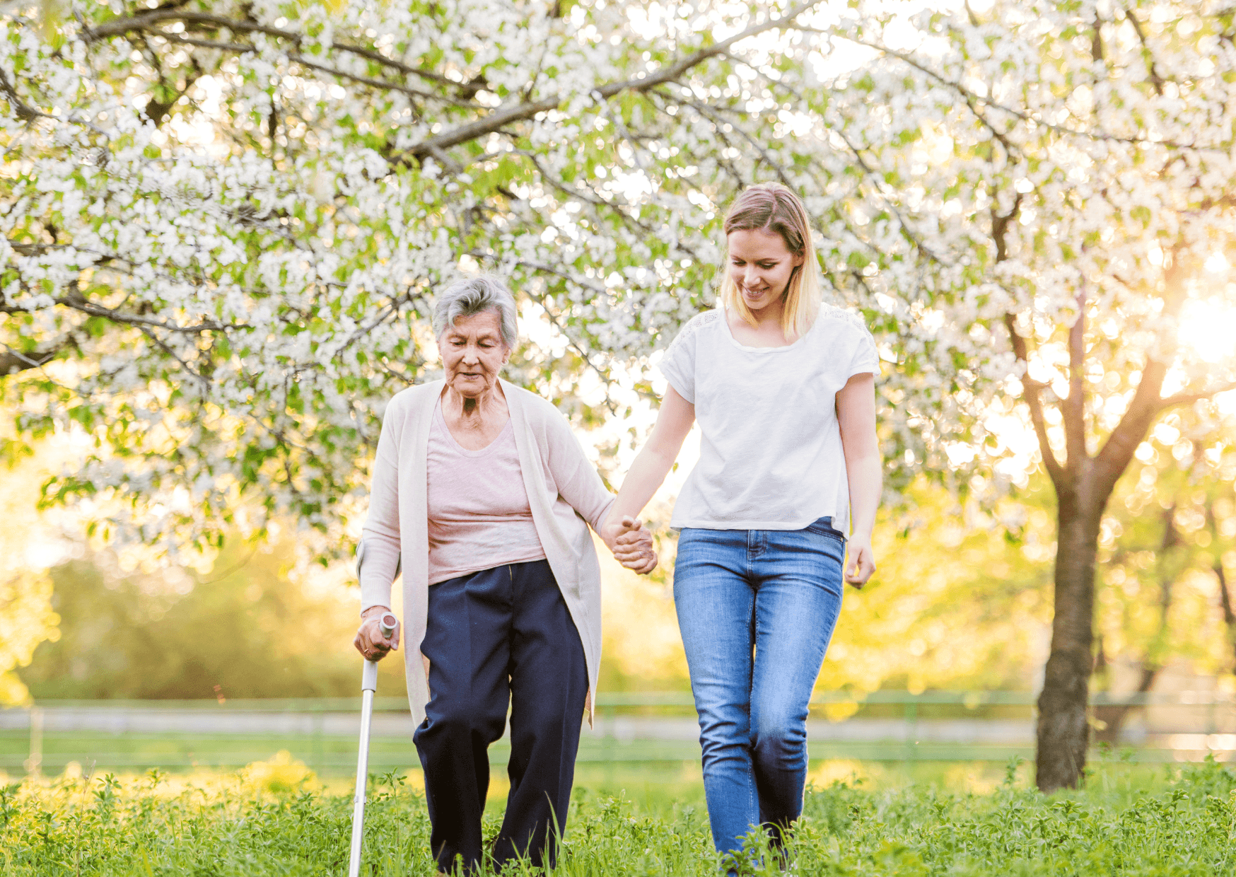 Spring Trips for Care Professionals and Clients