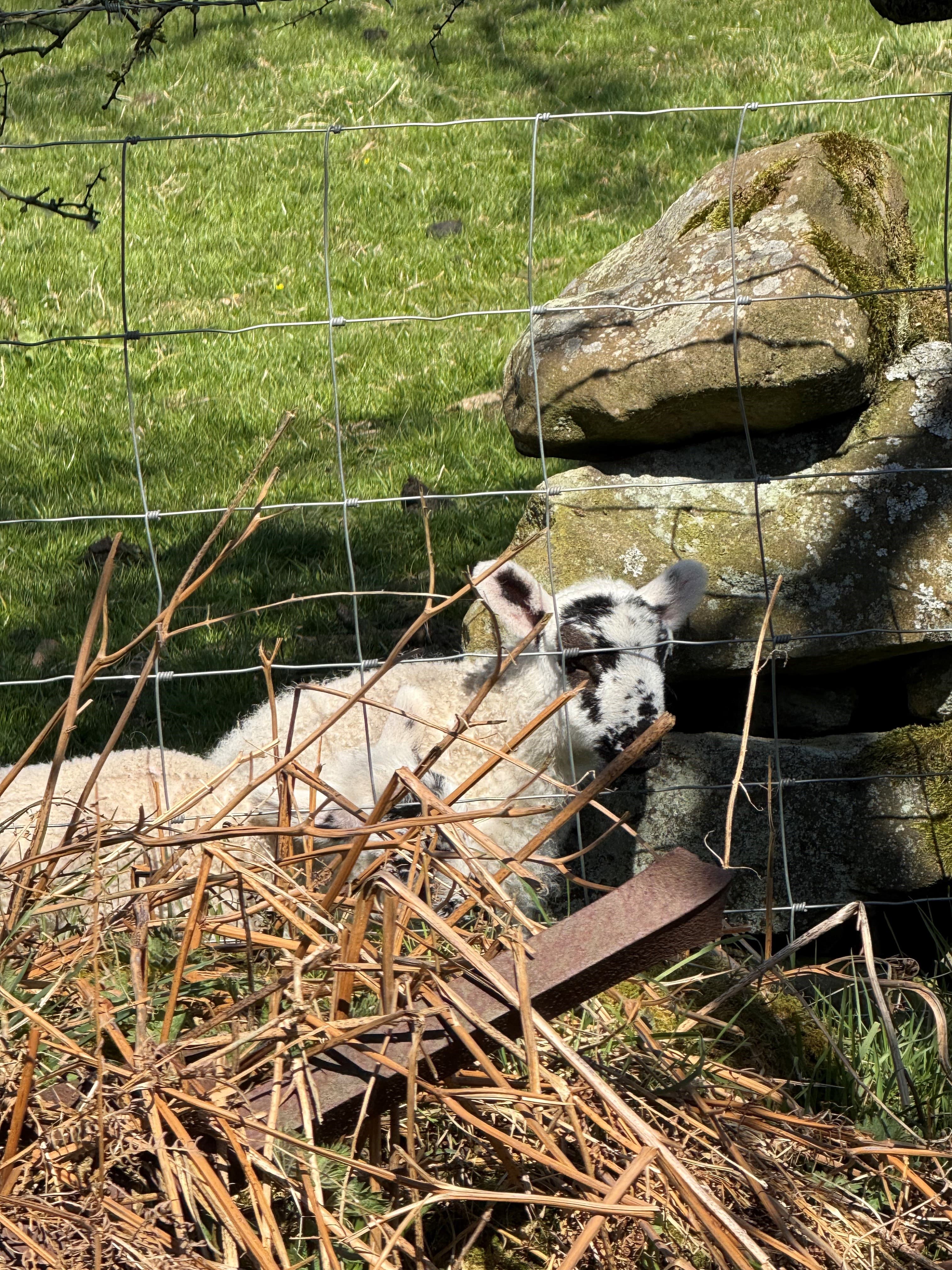 Beautiful Scenic Spots Near Harrogate