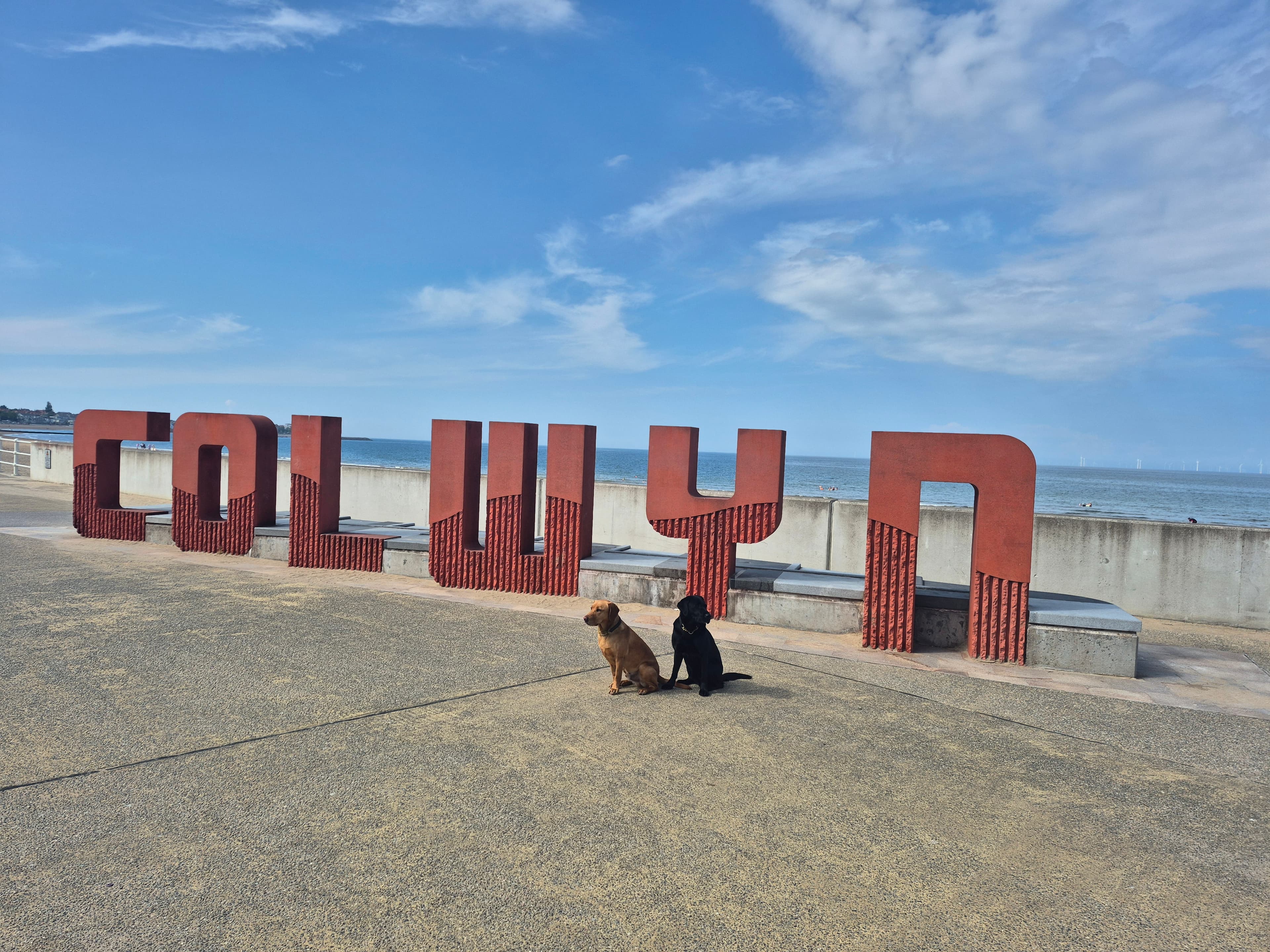 Two dogs sit in front of large red letters spelling "COLWYN" by the seaside under a blue sky. - Home Instead