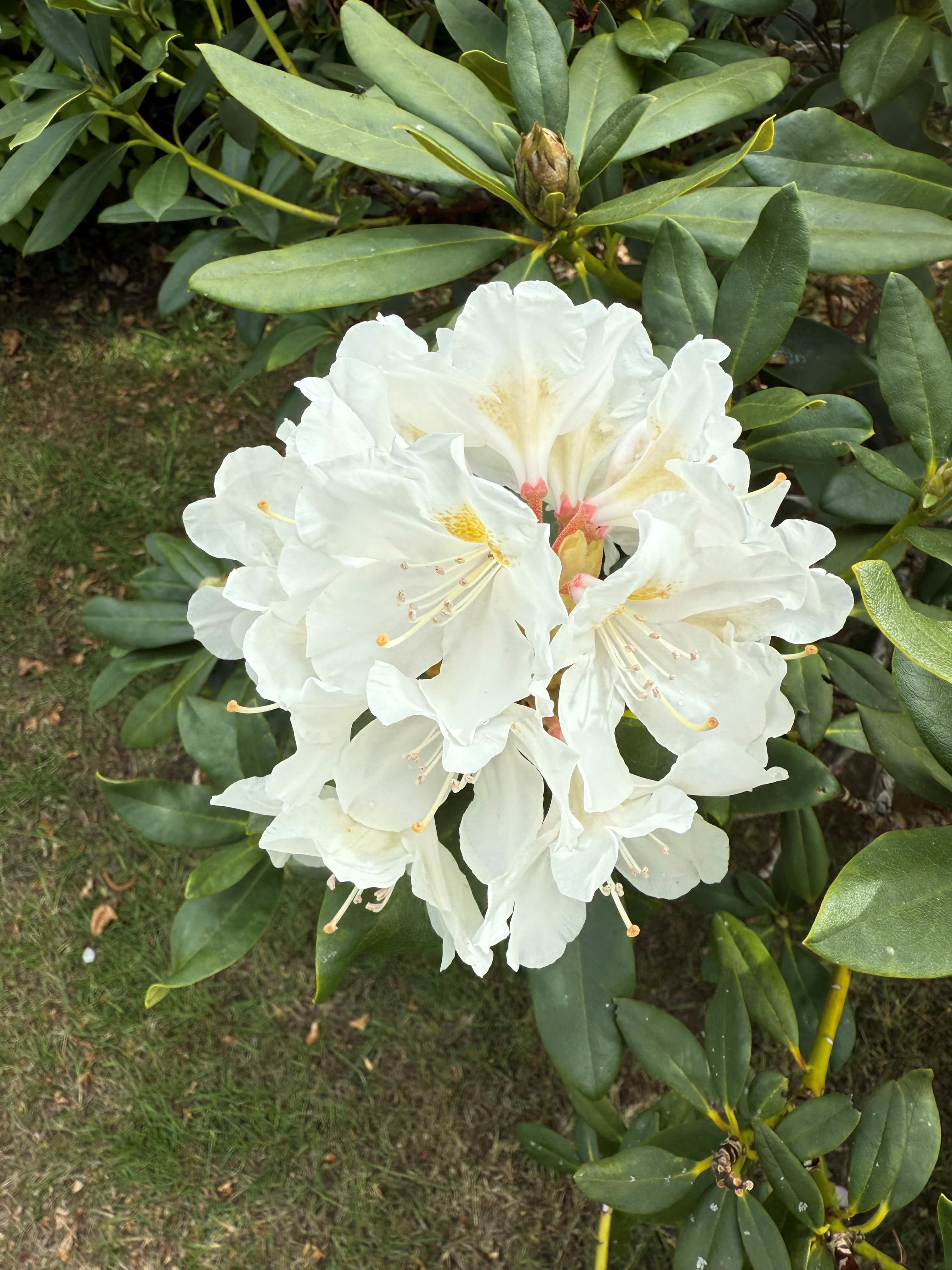 Open Gardens in Beautiful Nidderdale