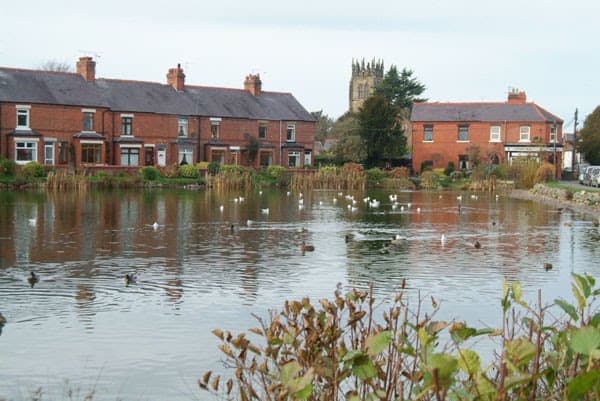 A pond with ducks and geese, surrounded by brick houses and greenery, with a church tower in the background. - Home Instead