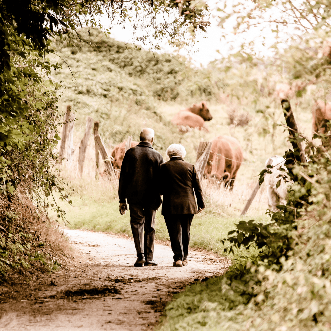 Two elderly people as a couple walking in countryside