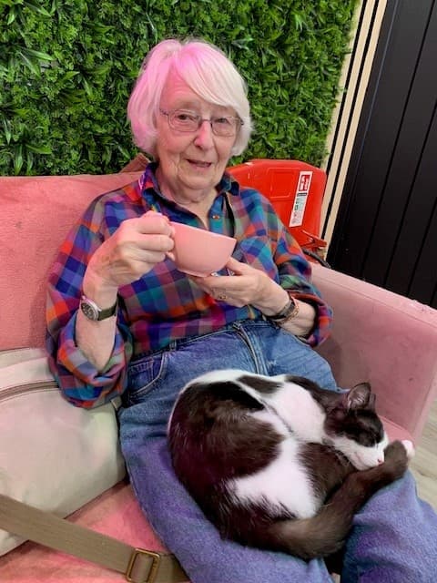 A Purrfect Day Out at Meow Cat Café