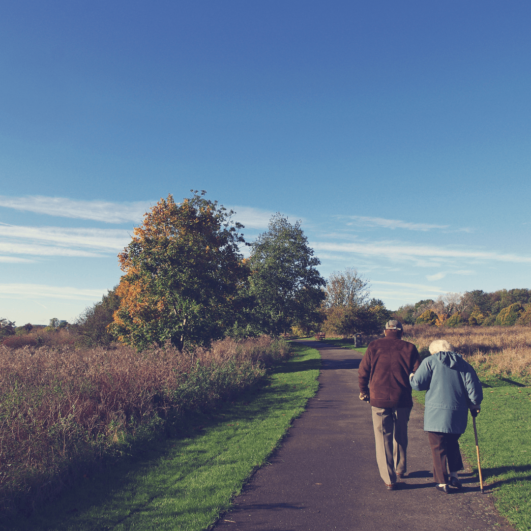 Elderly couple, man and woman with walking stick. Walking on a pathway surrounded by trees and bushes and blue sky.