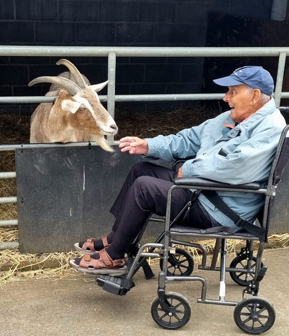 Edwin visiting the local animal park and saying hello to a friendly goat