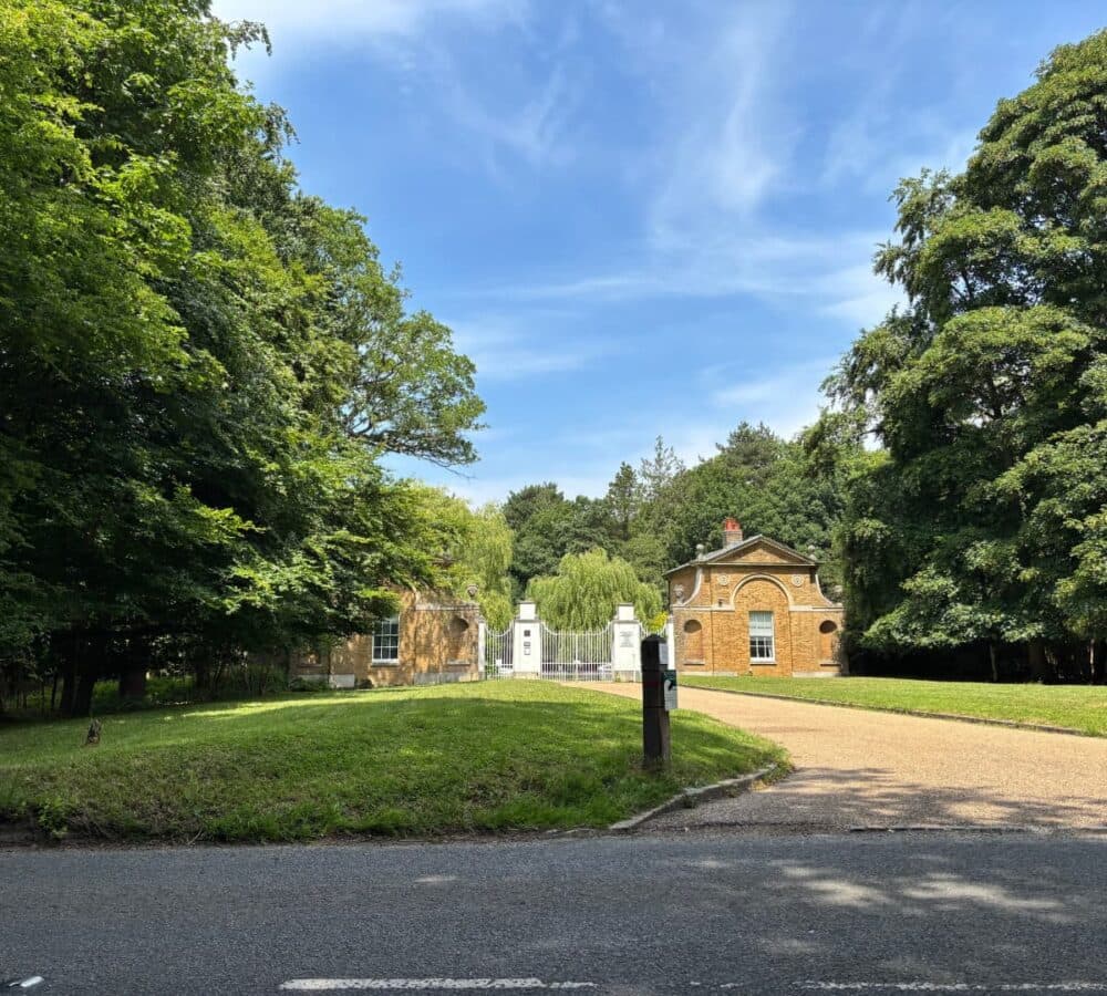 Beautiful tress and grasses at Copped Hall