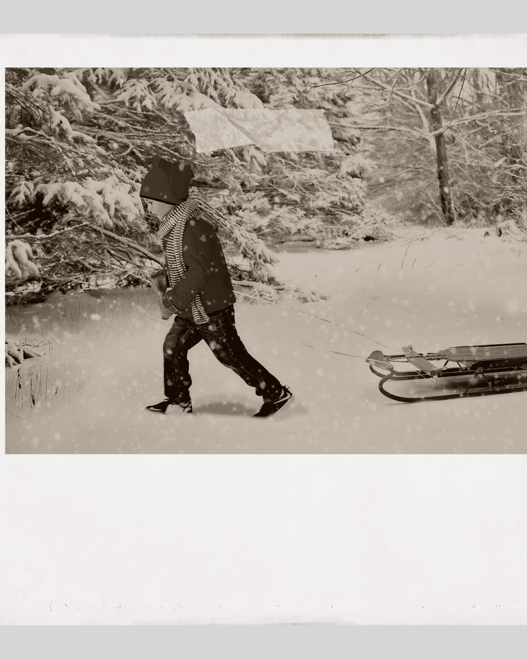 Child in winter clothes pulls a sledge through snowy woods; trees and ground covered in snow. - Home Instead