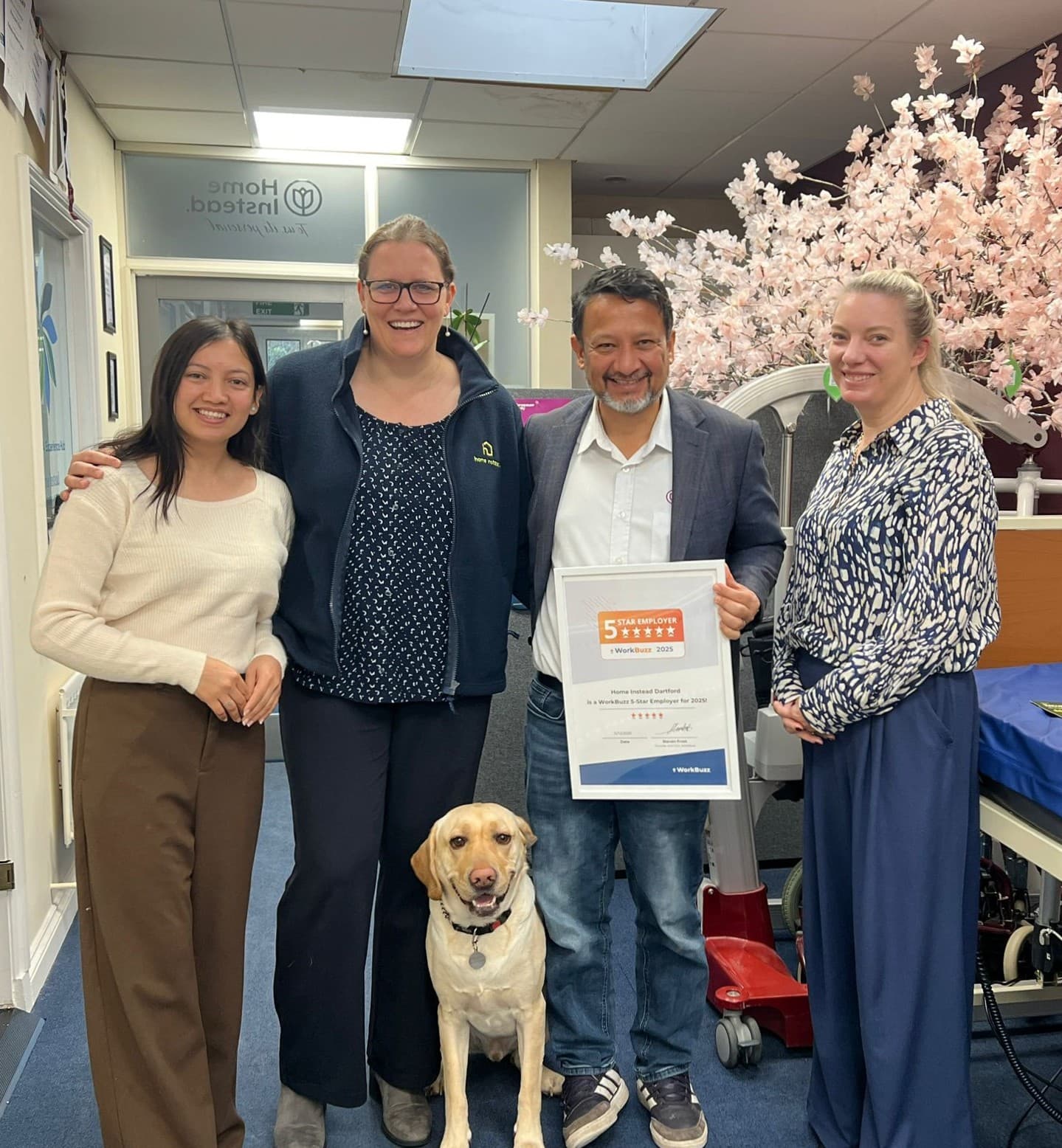 A smiling office team at Home Instead Dartford standing together indoors, with one member holding a framed WorkBuzz 5-Star Employer 2025 certificate. A friendly yellow Labrador sits at the front, and a decorative pink blossom tree is in the background.