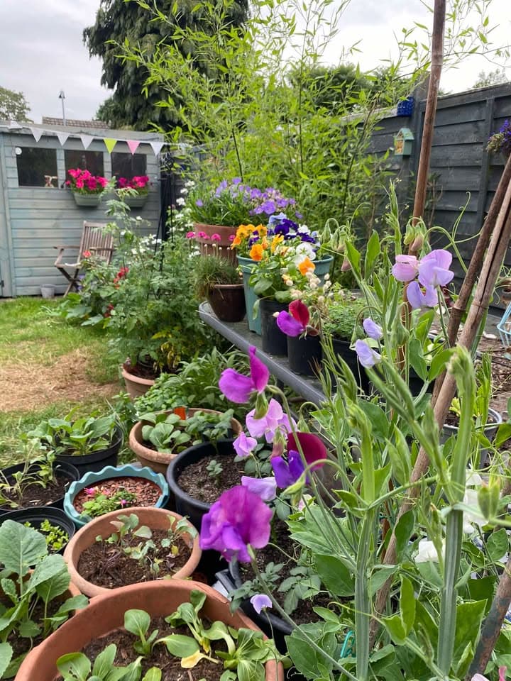 Love your Garden compeition