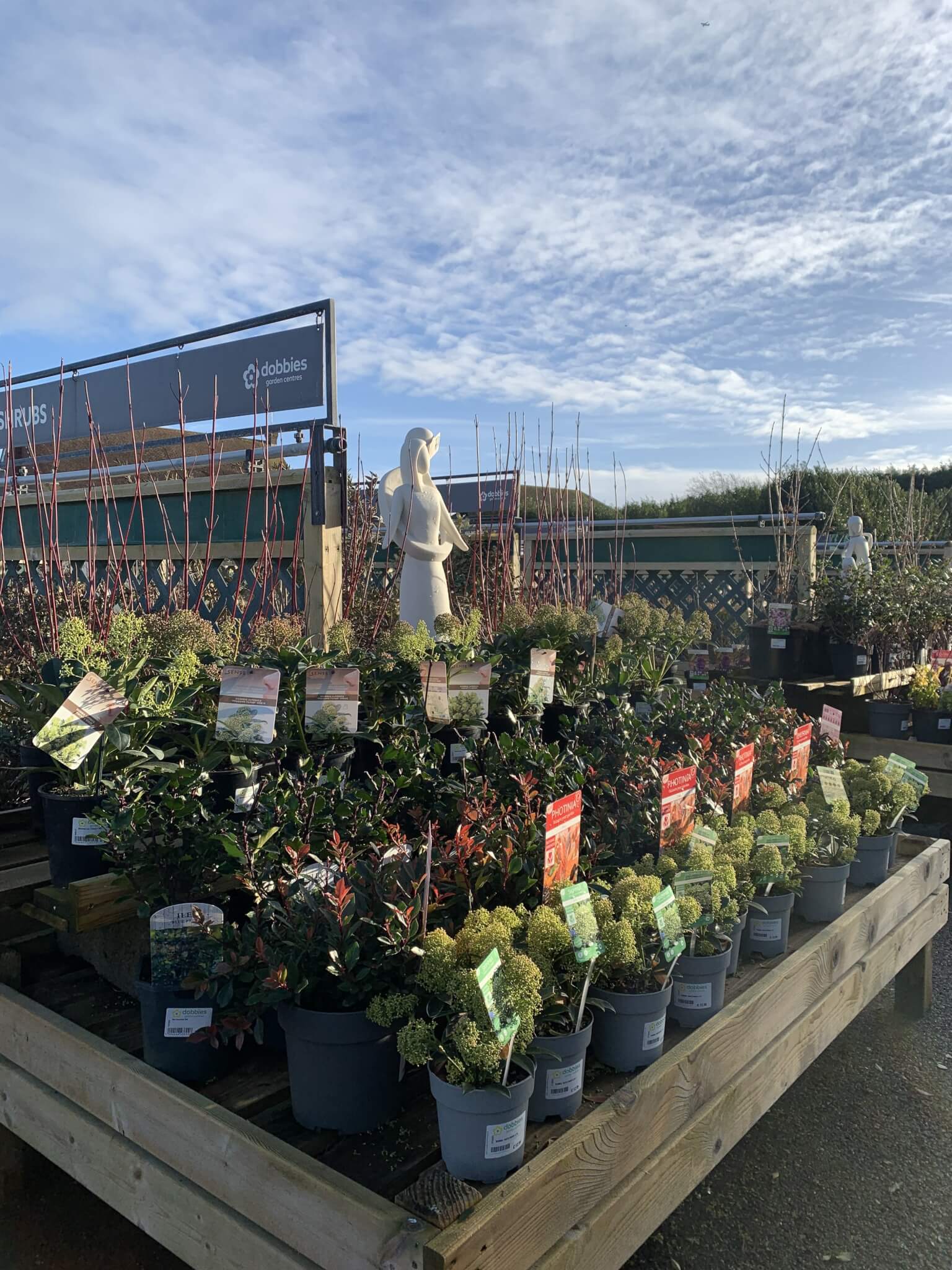 Garden Centres to visit in Aylesbury | Home Instead Aylesbury Vale and North East Oxfordshire