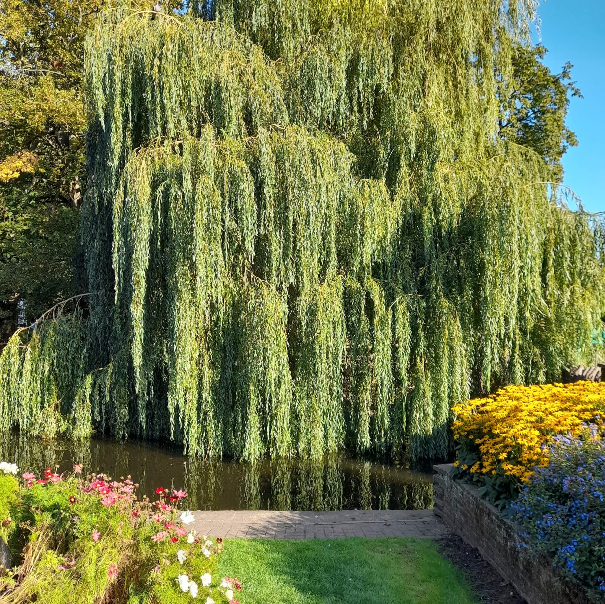 The 5 Best Local Parks & Gardens in Cambridge