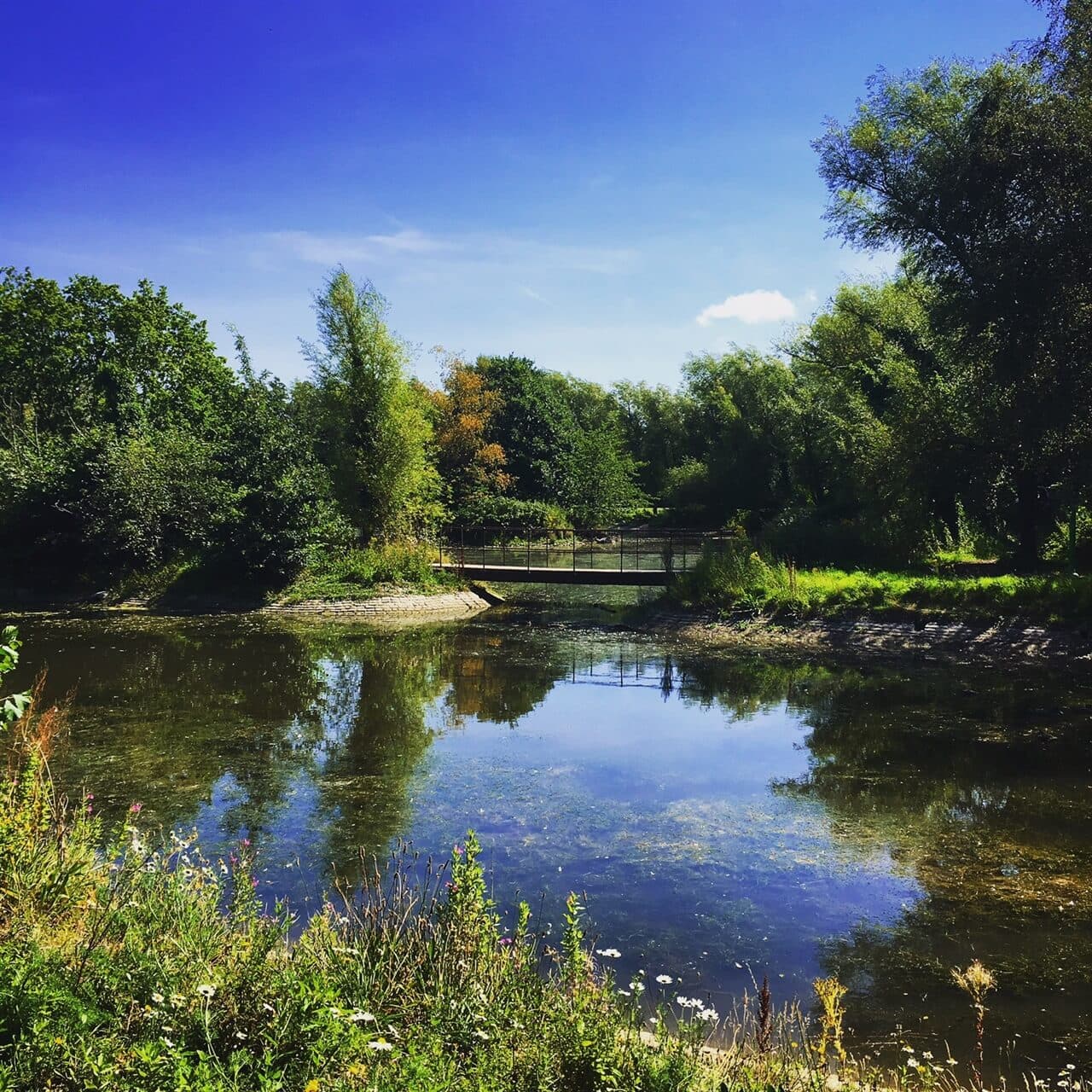 Great Parks to visit in Belfast