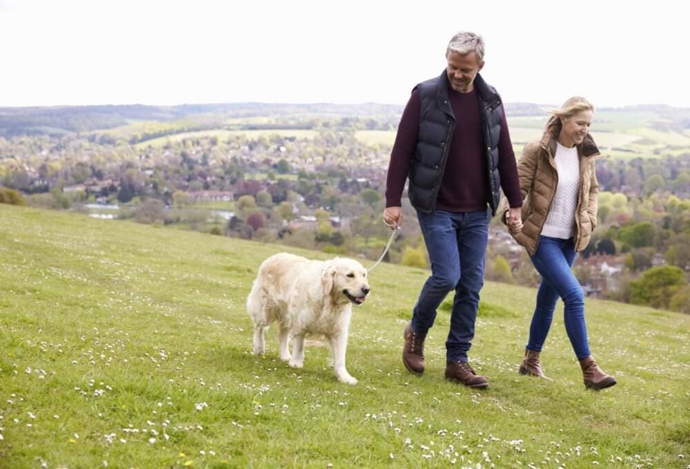 A couple walks their dog on a grassy hill with a scenic village in the background on a cloudy day. - Home Instead