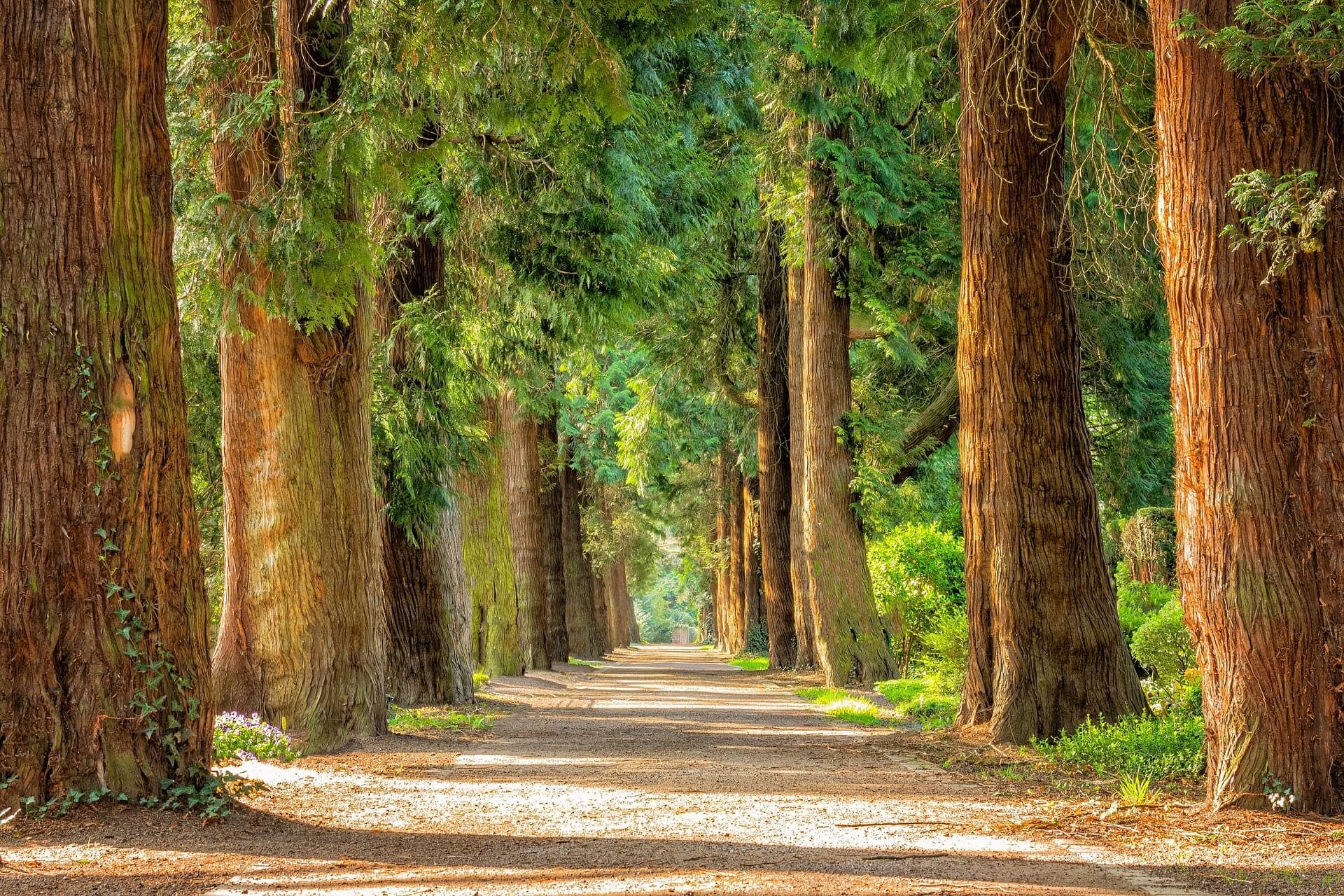 5 Places For Outdoor Walks In Havant, Hayling Island and Emsworth | Home Instead