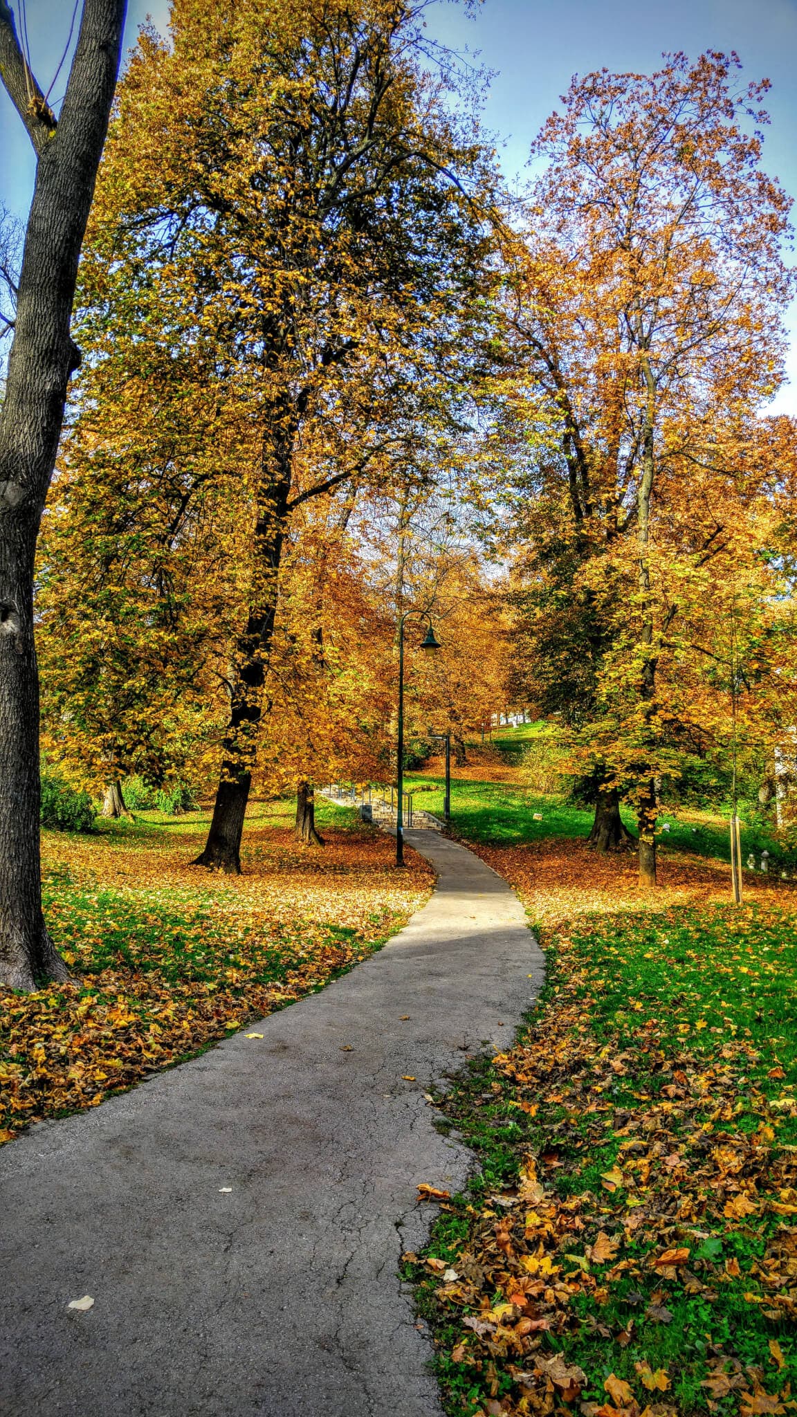 The best local parks in Taunton and Wellington