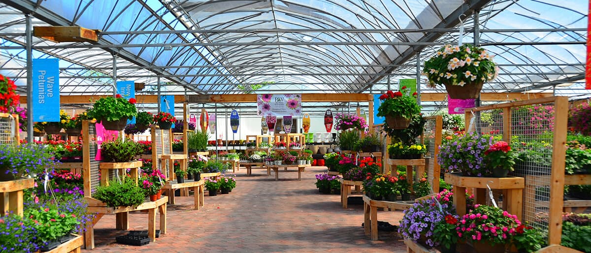 Top Garden Centres to Visit in Medway