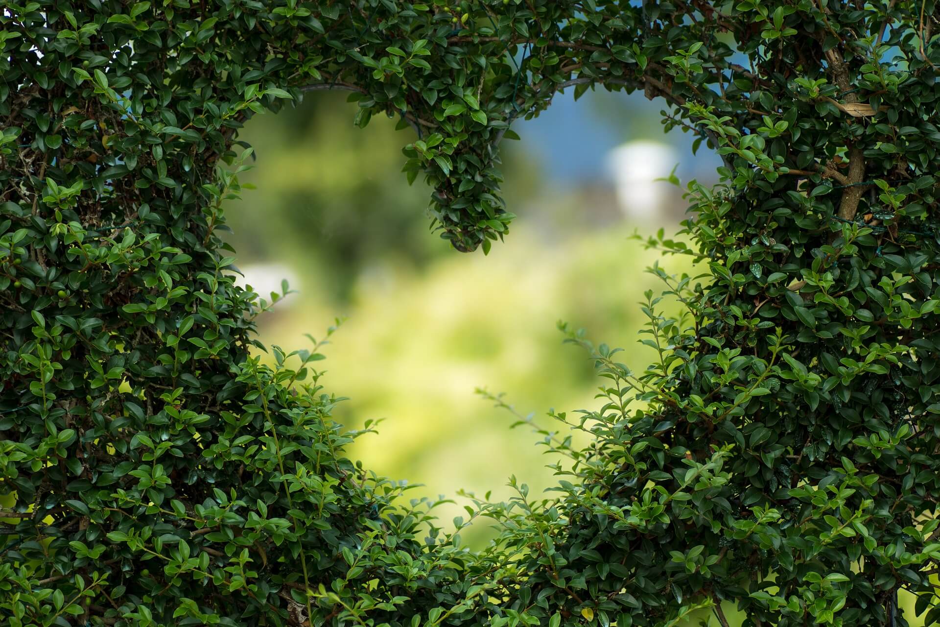 Local Garden Centres and Farm Shops to visit near Yeovil, Sherborne and Bridport