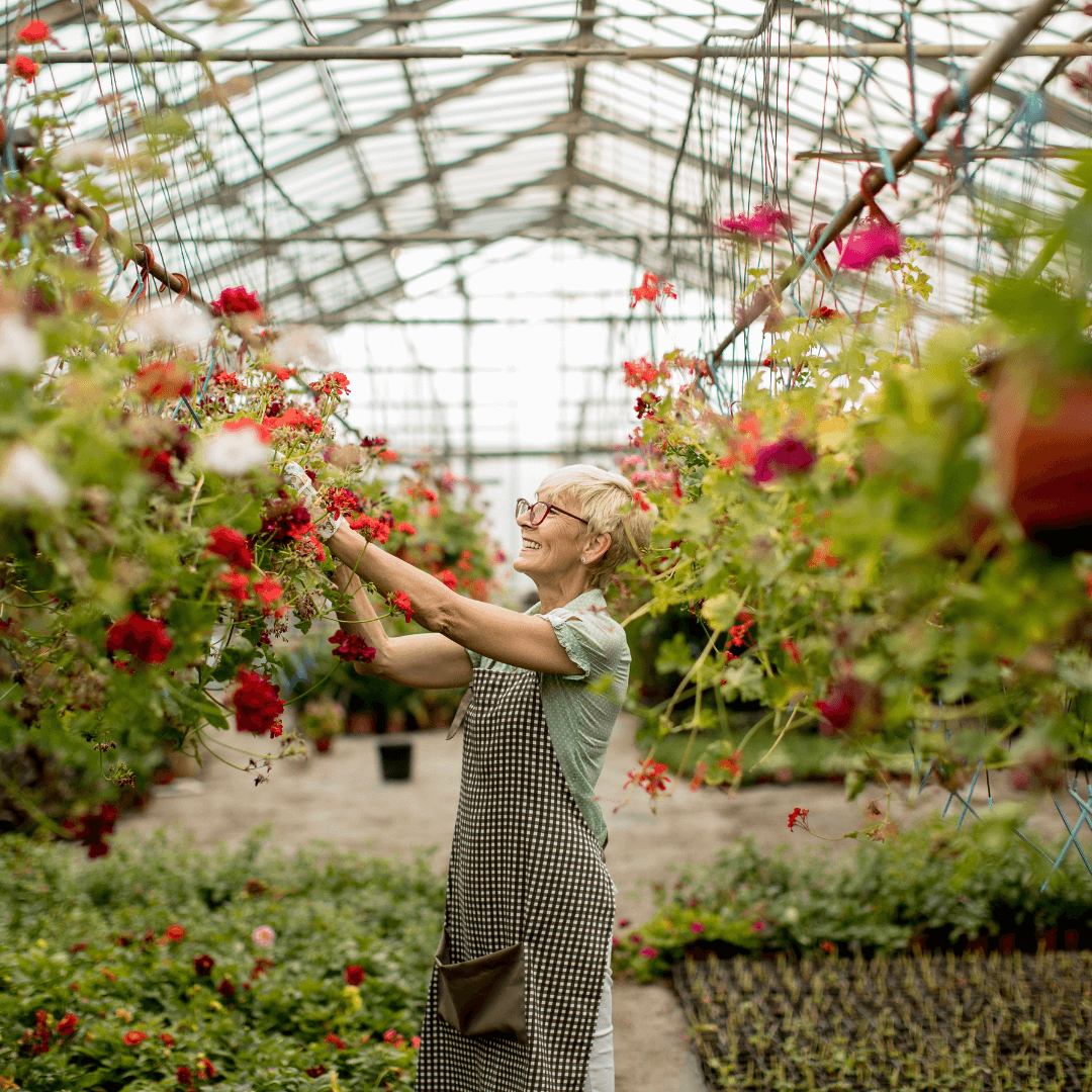 Bloomin’ marvellous – Five garden centres near Leek