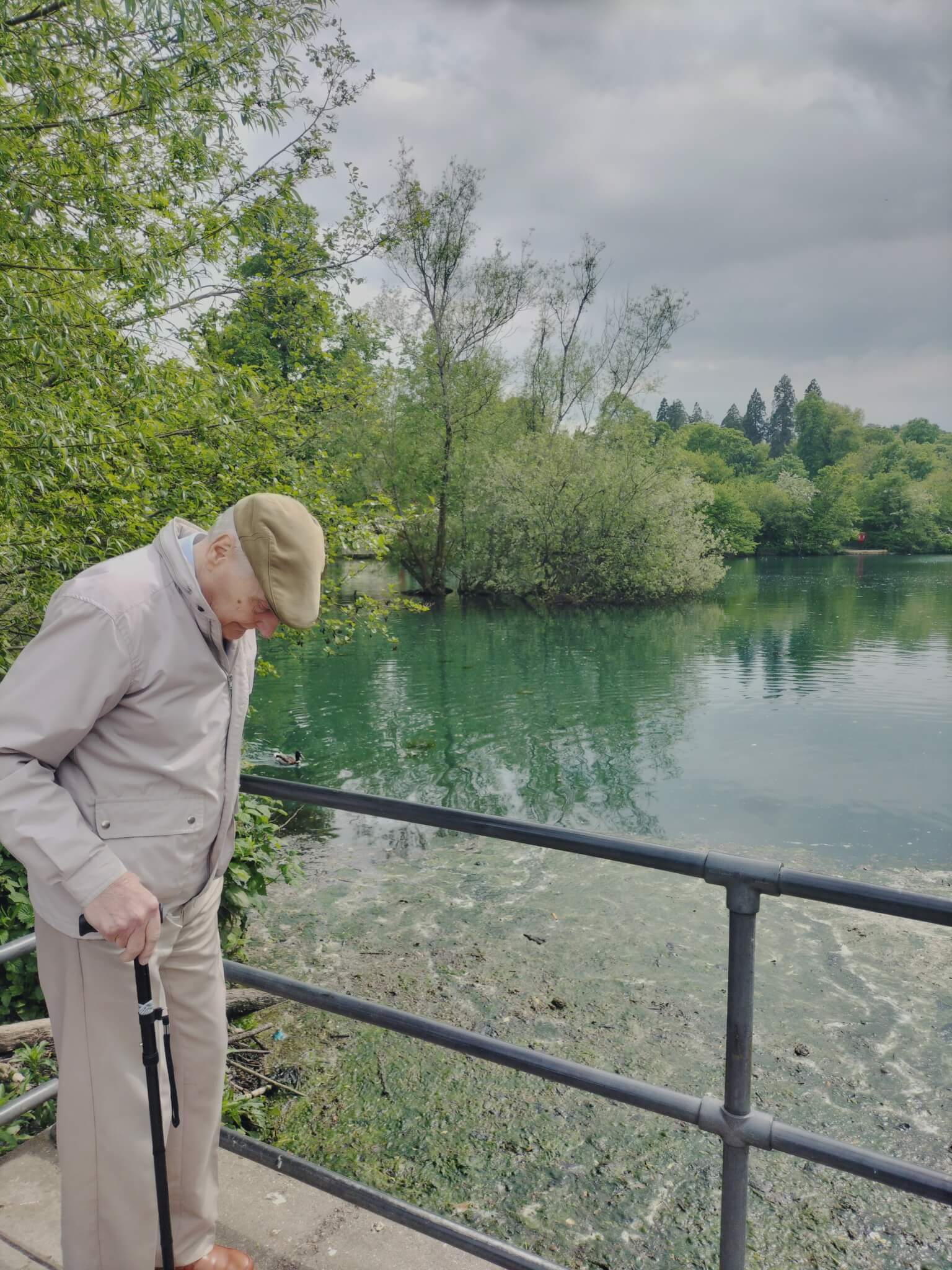Feed the ducks – in East Hampshire and Midhurst