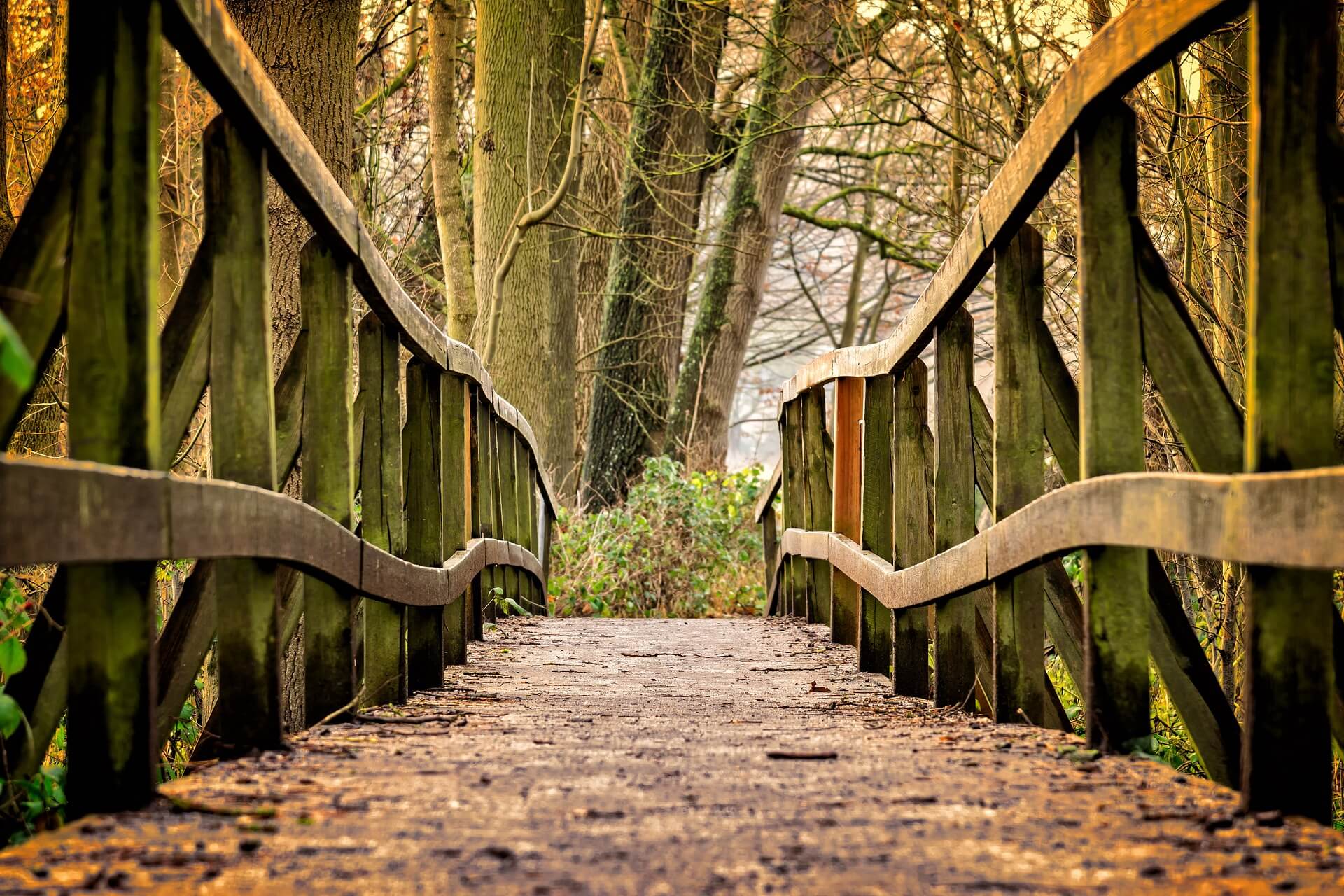 5 Places For Outdoor Walks In Wigan