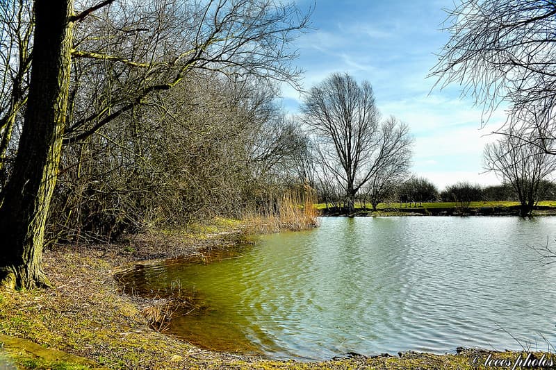 Hidden Gems in Hampshire for Summer Picnics