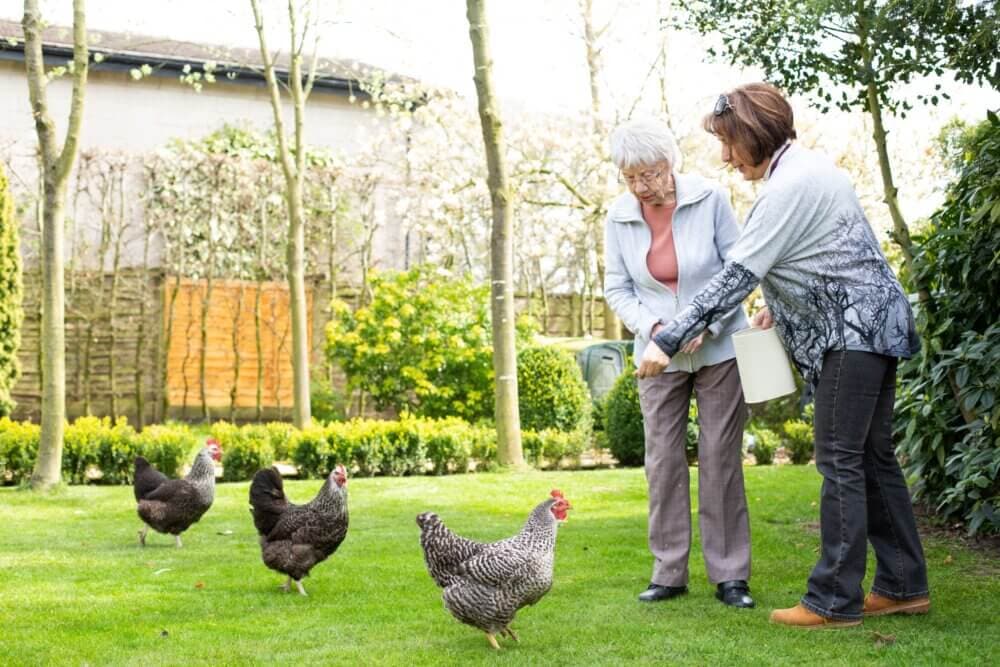 Two women feeding chickens in a backyard garden with trees and a hedge in the background. - Home Instead