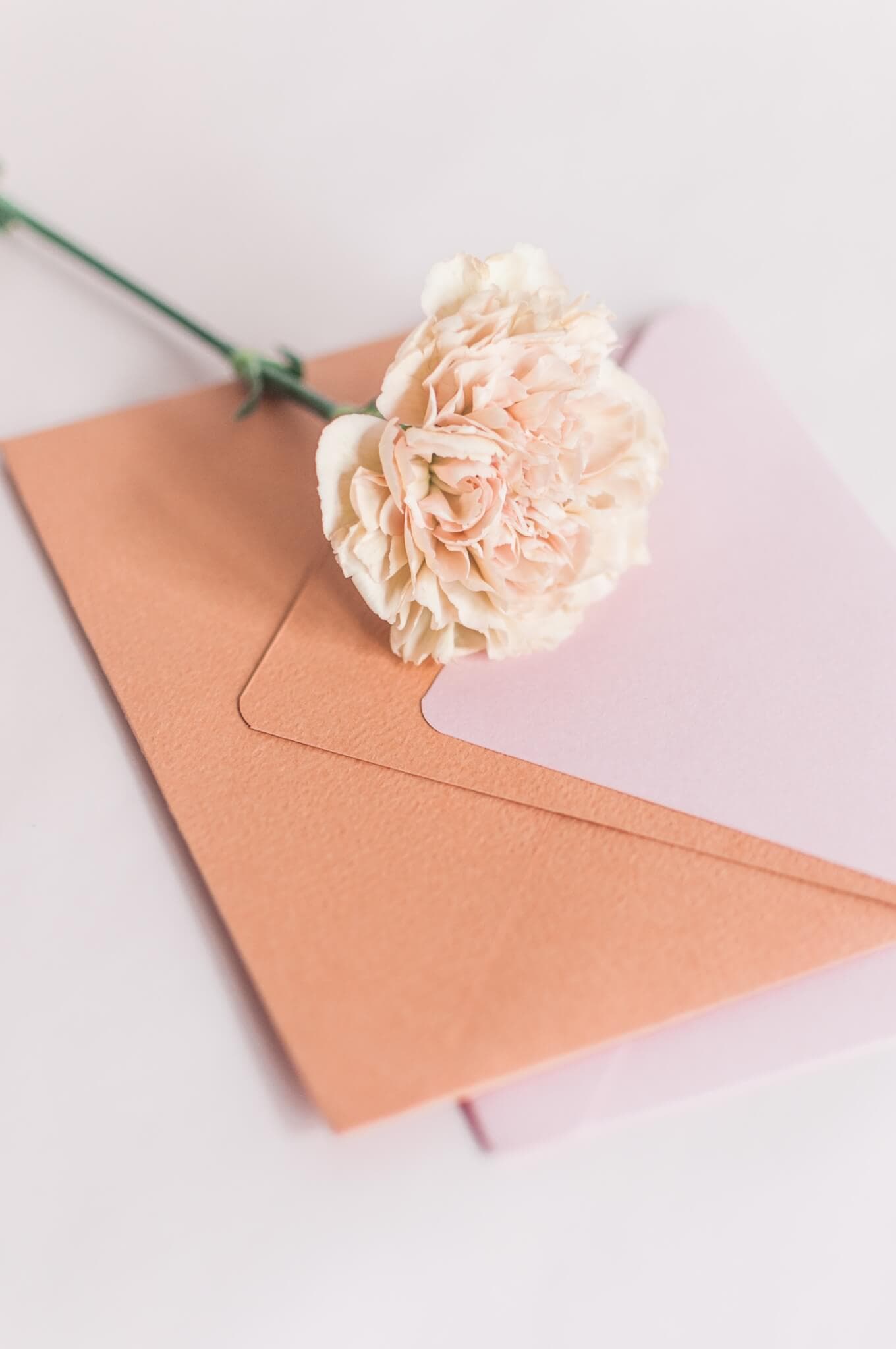 A peach carnation placed on two envelope, one peach and one light pink, on a light background. - Home Instead