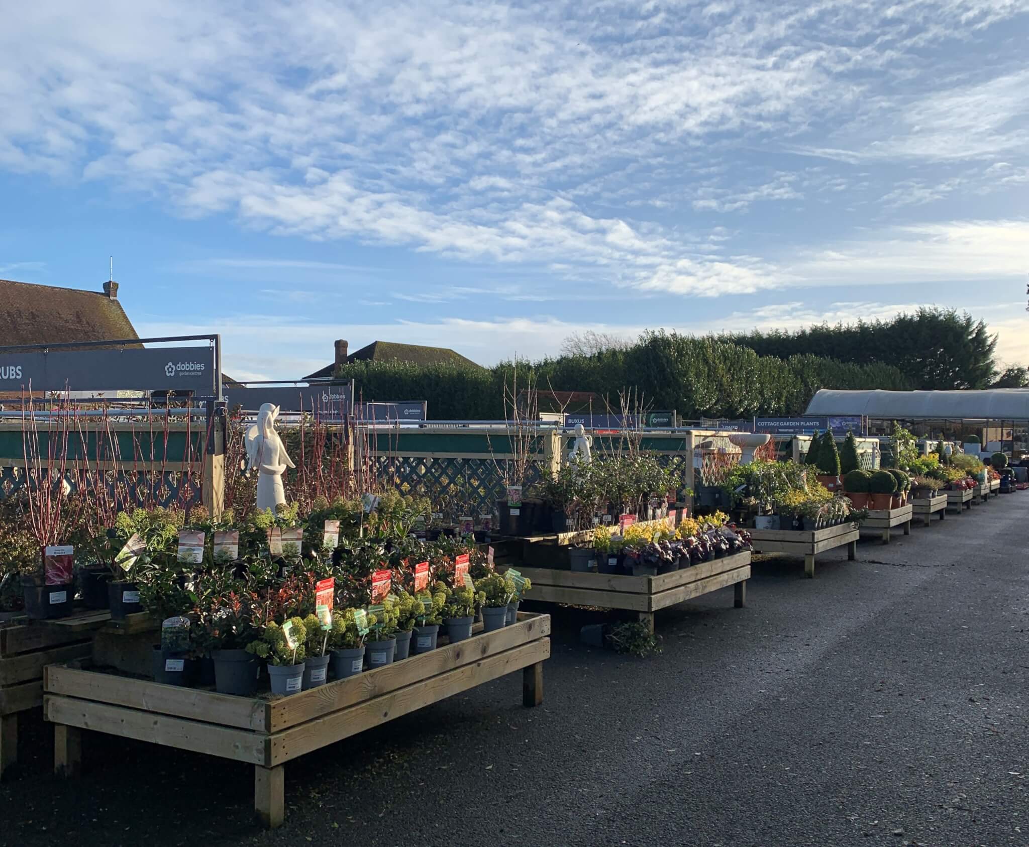 Outdoor garden center with plants and shrubs displayed on wooden tables under a blue sky with scattered clouds. - Home Instead