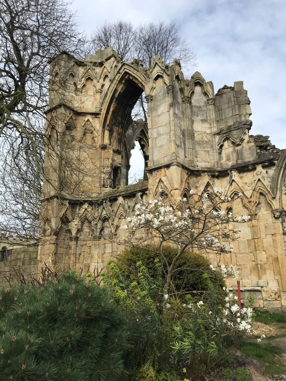 A historic stone ruin with gothic arches surrounded by green shrubs and a blooming white tree under a cloudy sky. - Home Instead