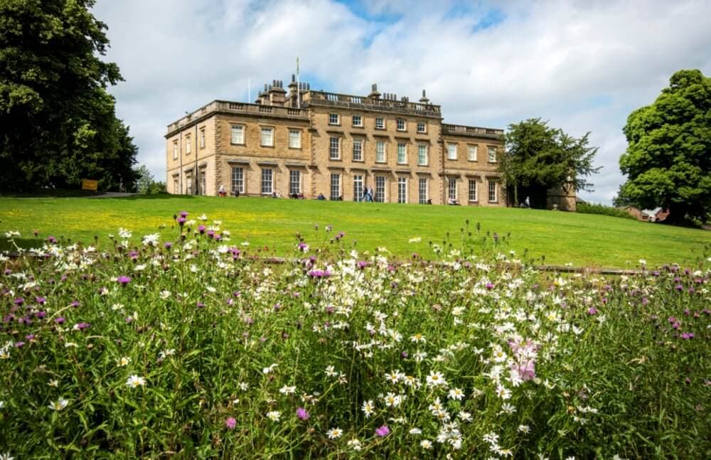Historic mansion with grand architecture, surrounded by a lush green lawn and wildflowers in the foreground. - Home Instead