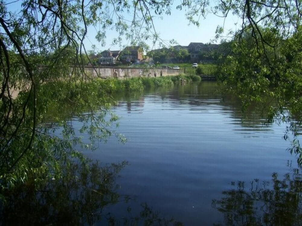 Serene river surrounded by greenery, with a stone bridge and houses visible in the background under a clear sky. - Home Instead